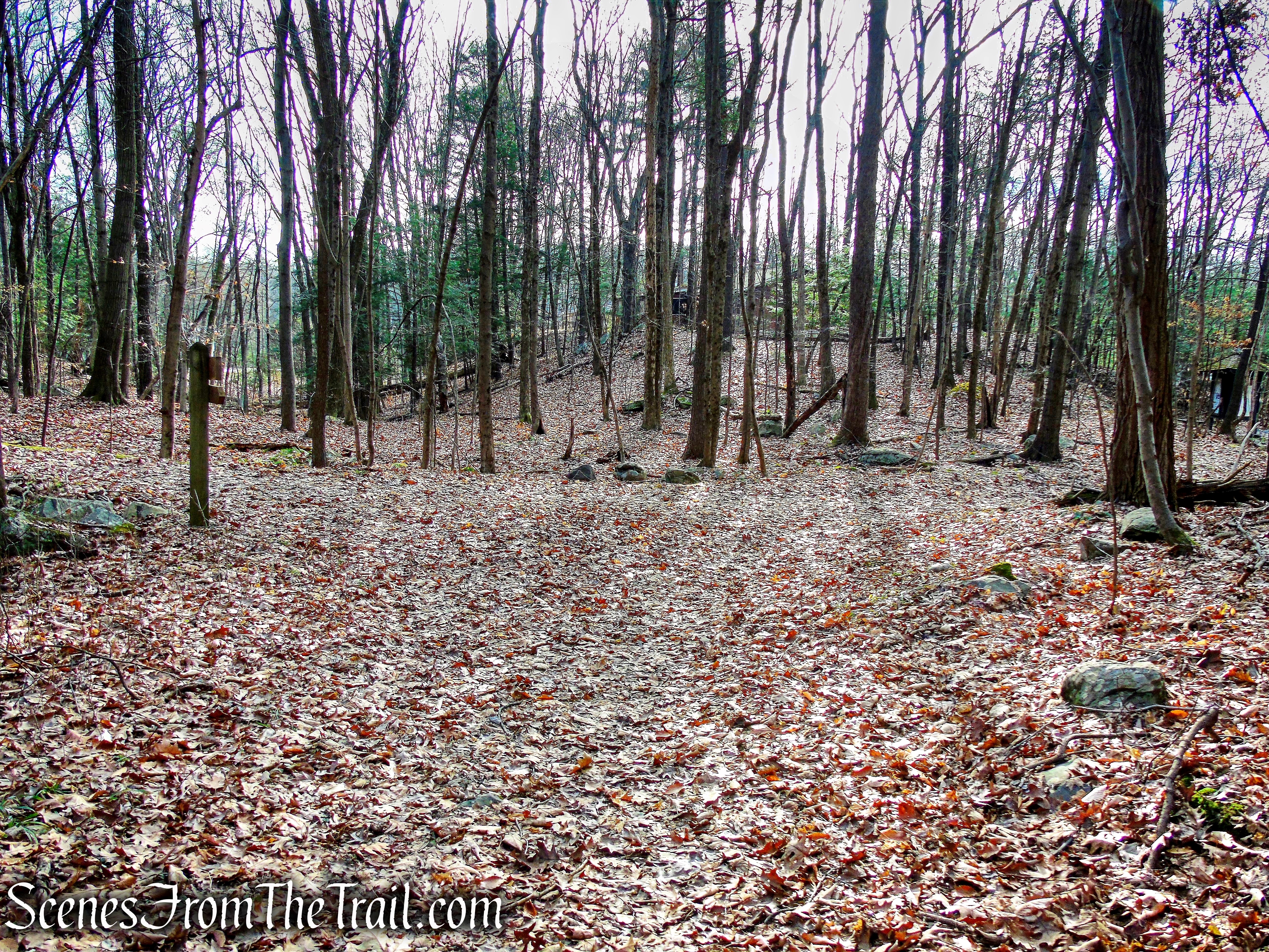 Colonel Rogers Loop Trail