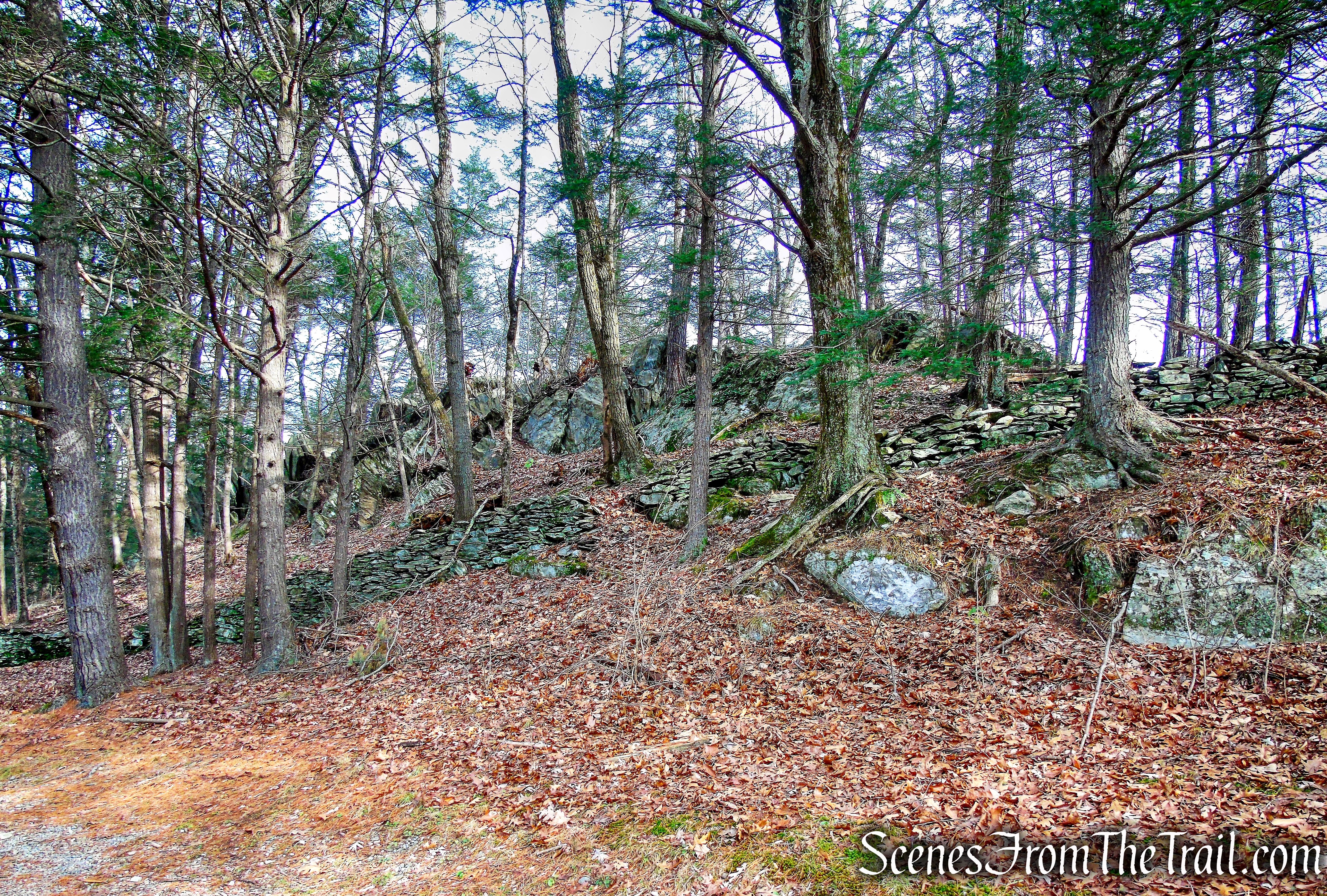 Hackett Hill Park