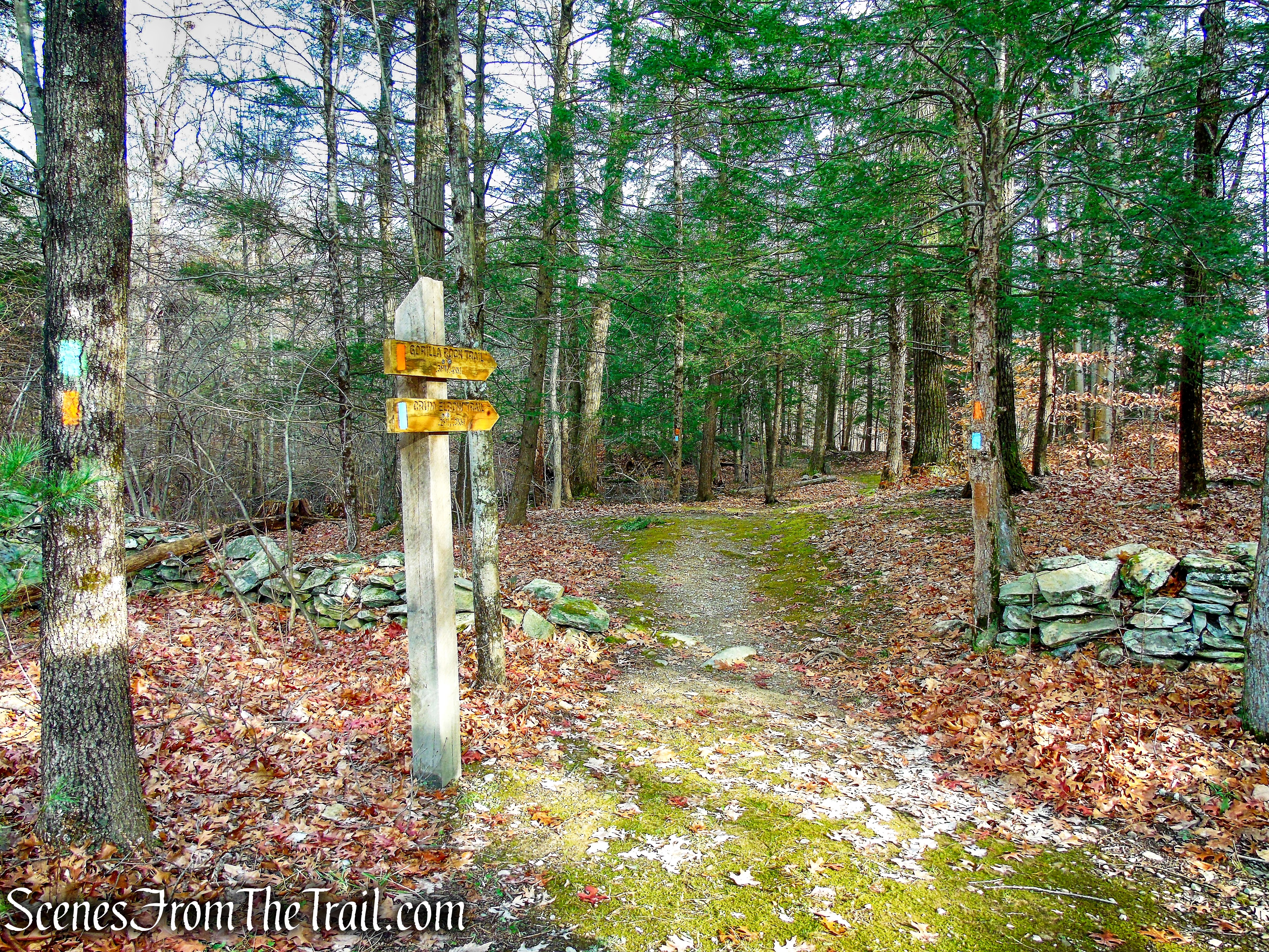 Hackett Hill Park trailhead