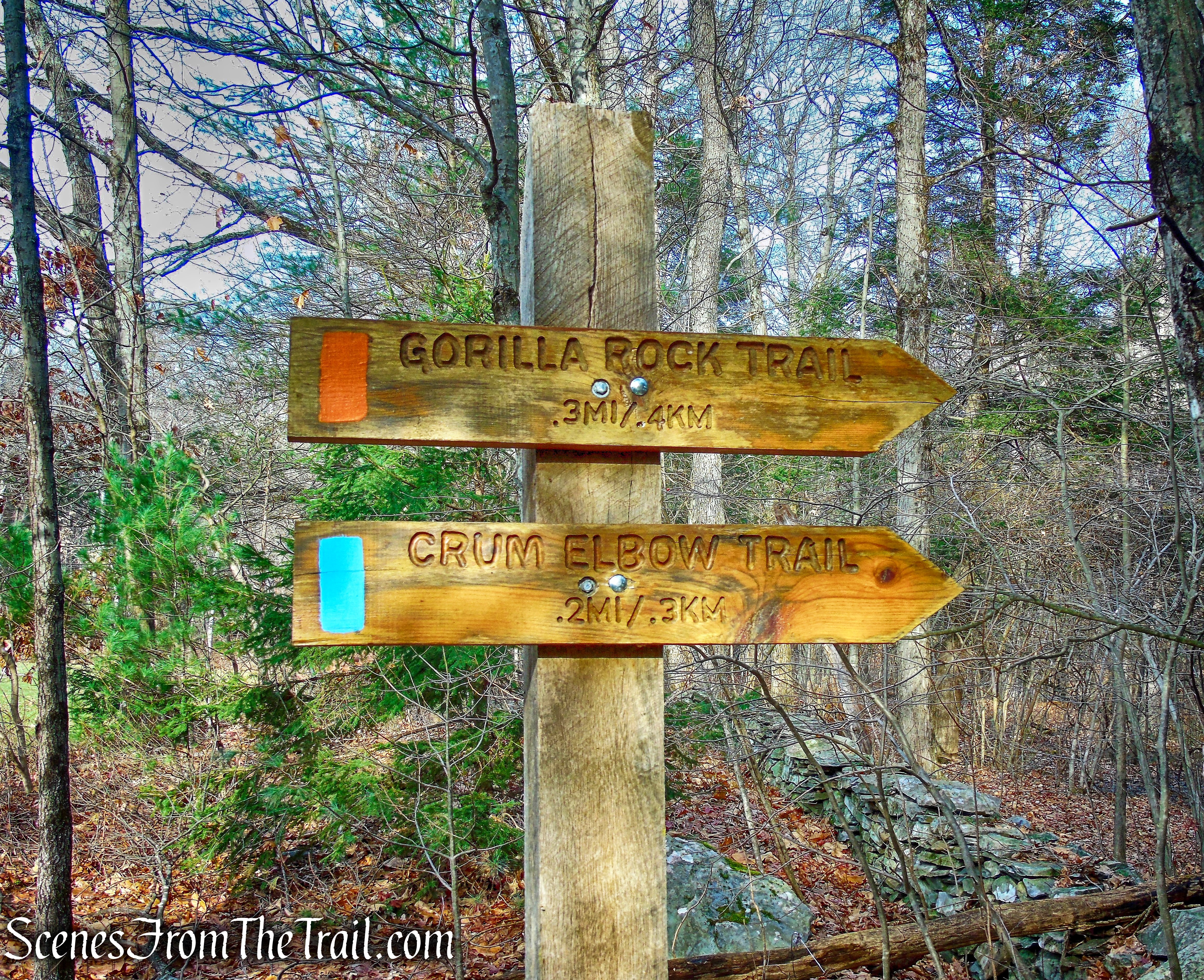 Hackett Hill Park trailhead