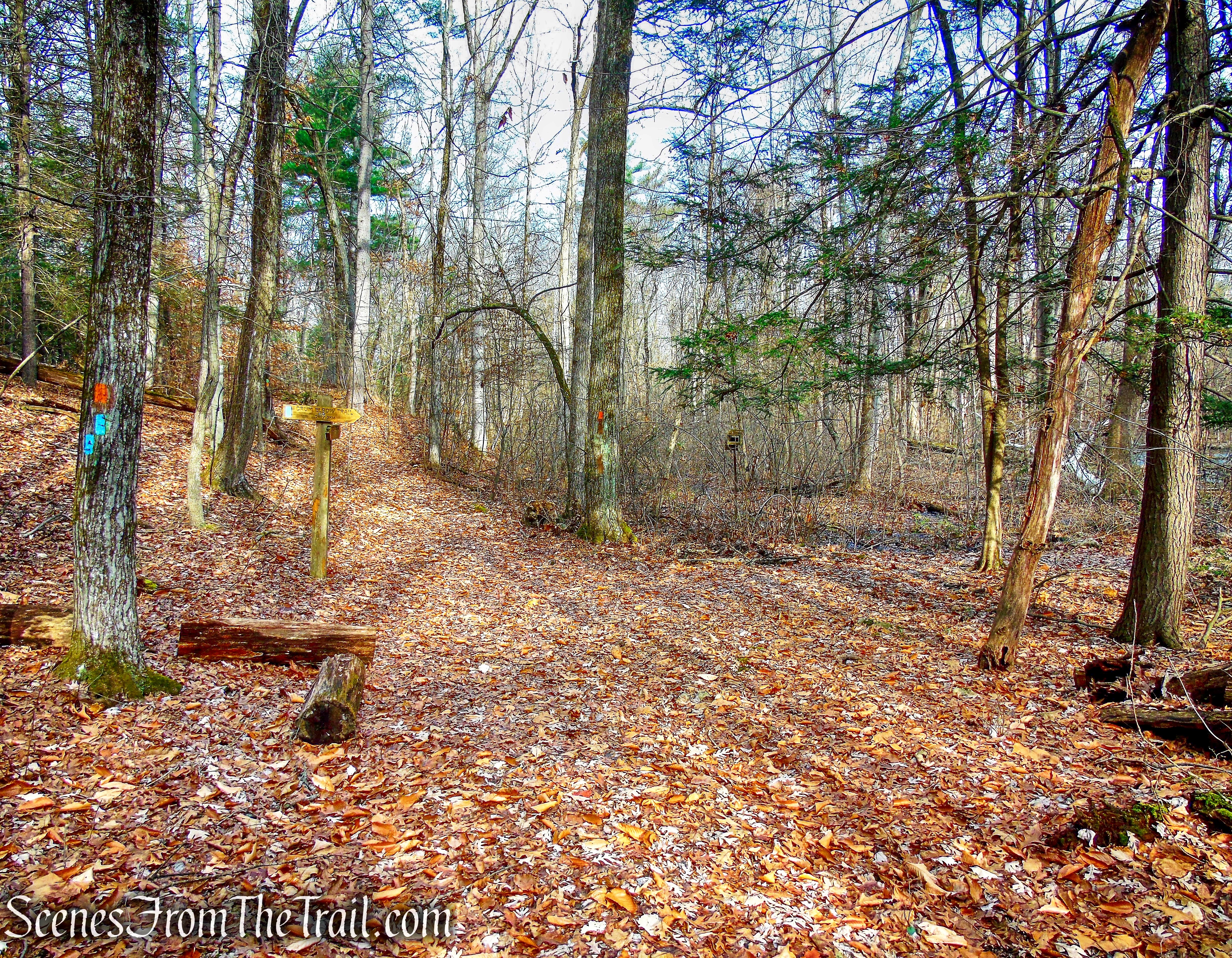 junction with Crum Elbow Trail