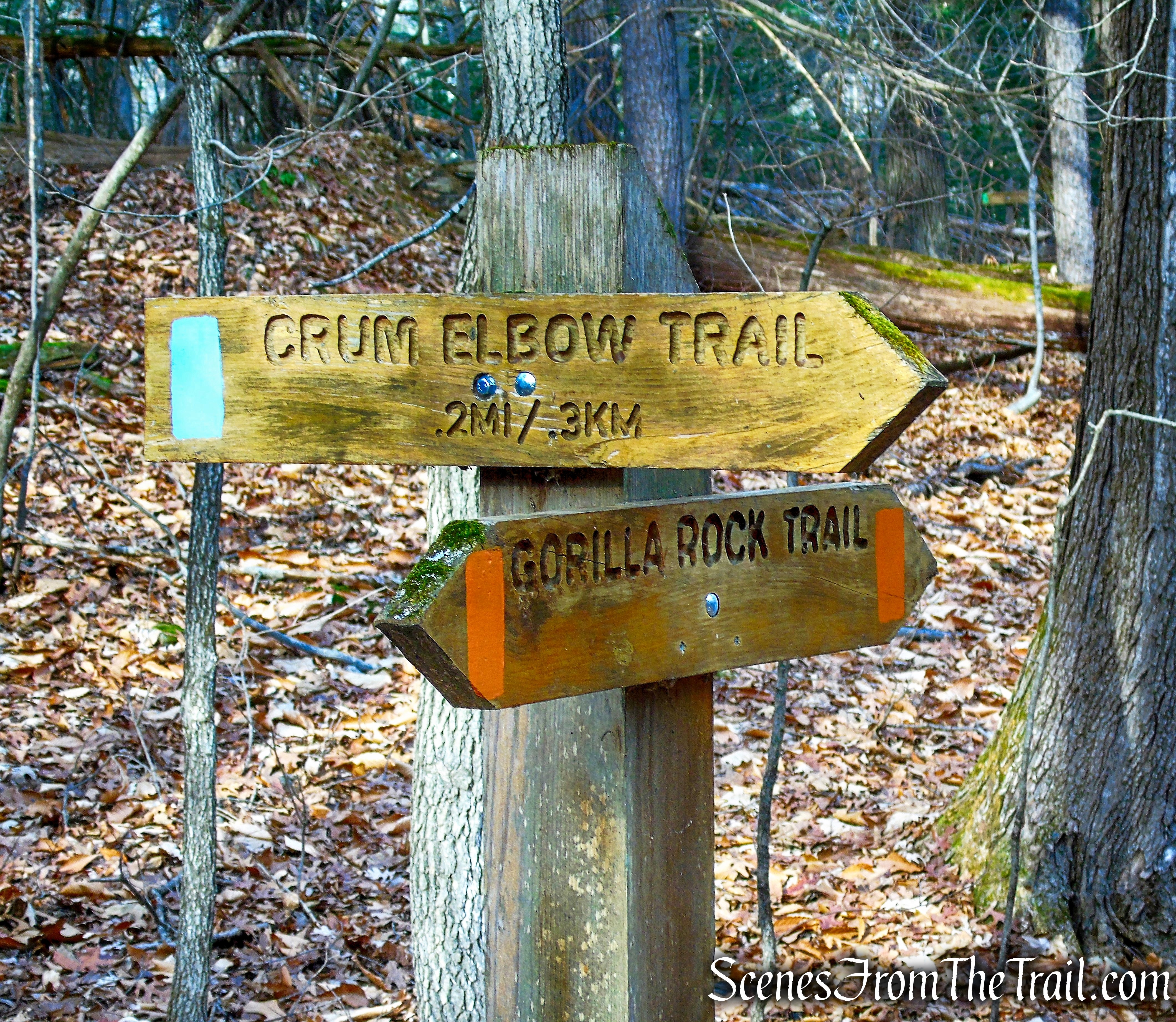 junction with Crum Elbow Trail