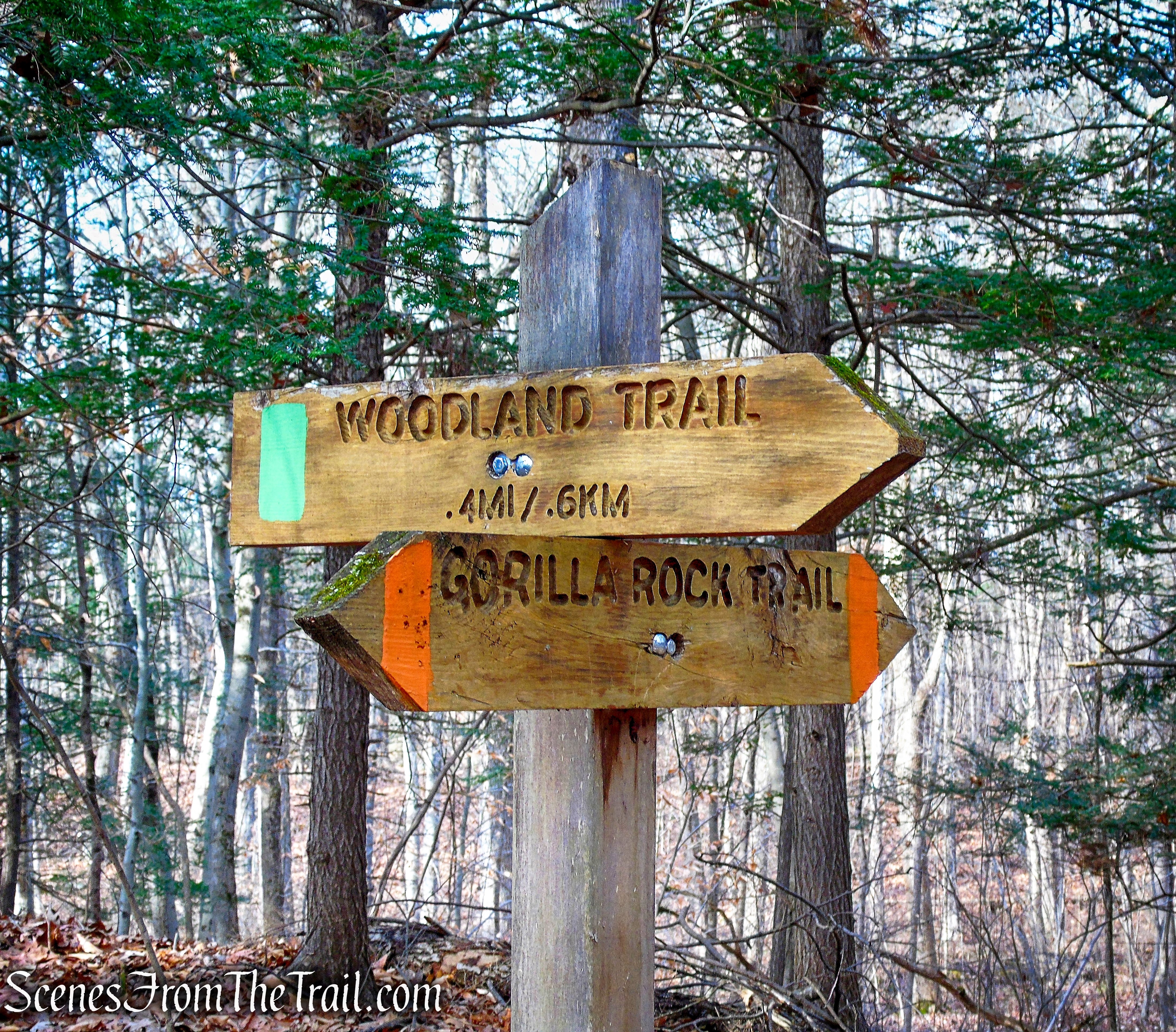 junction with Woodland Trail