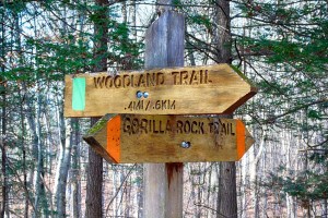 junction with Woodland Trail