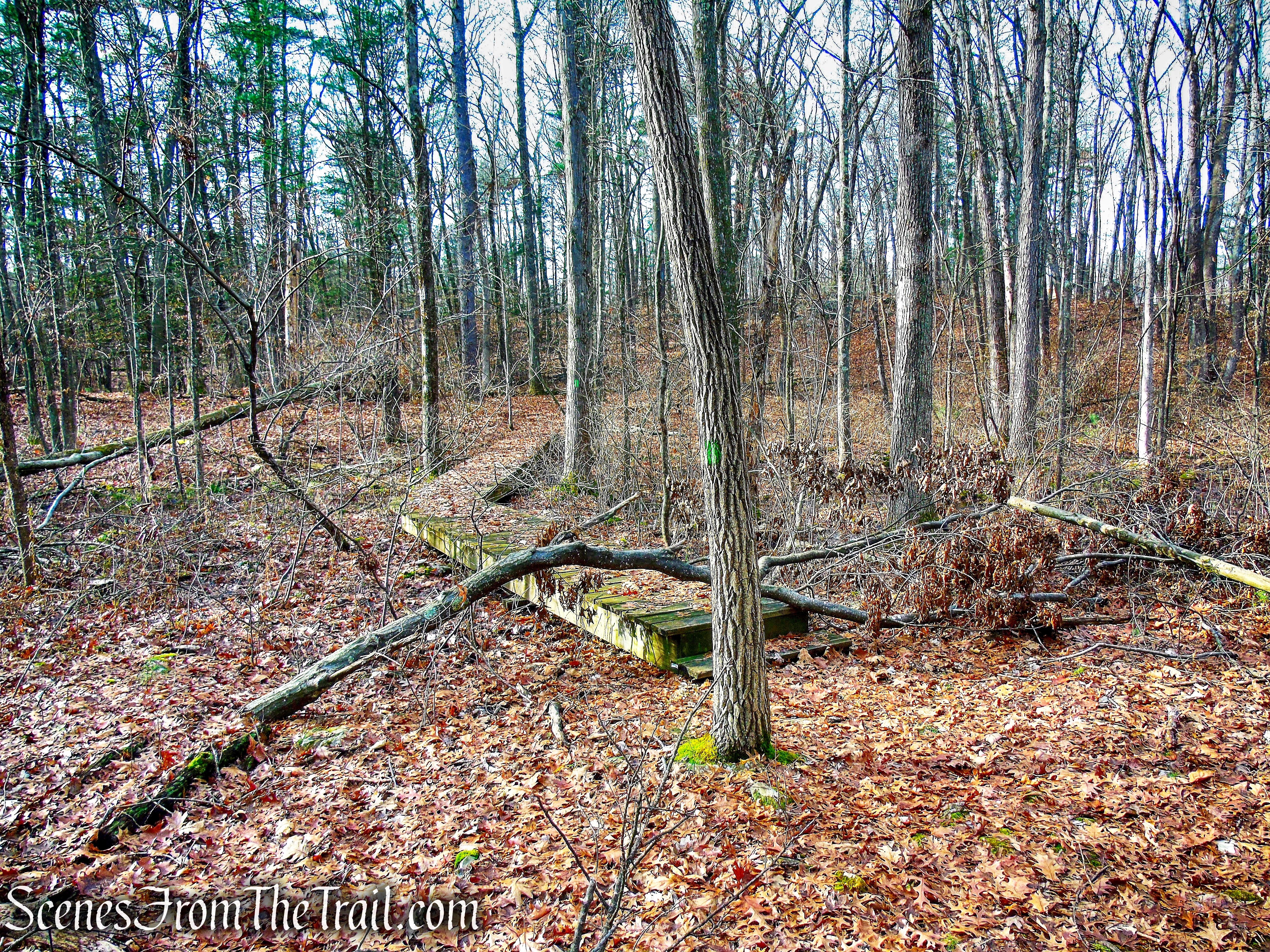 Woodland Trail