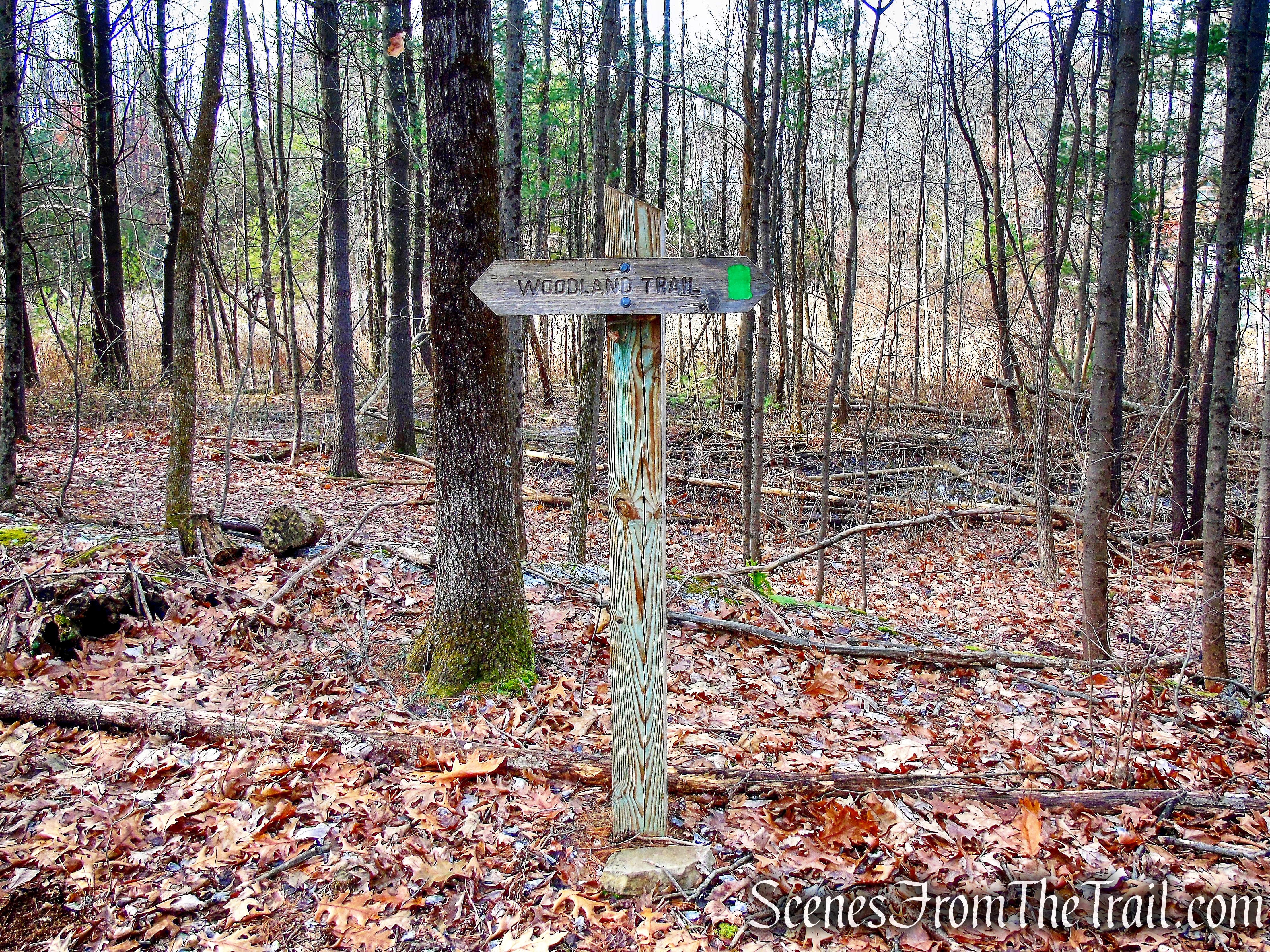 Woodland Trail