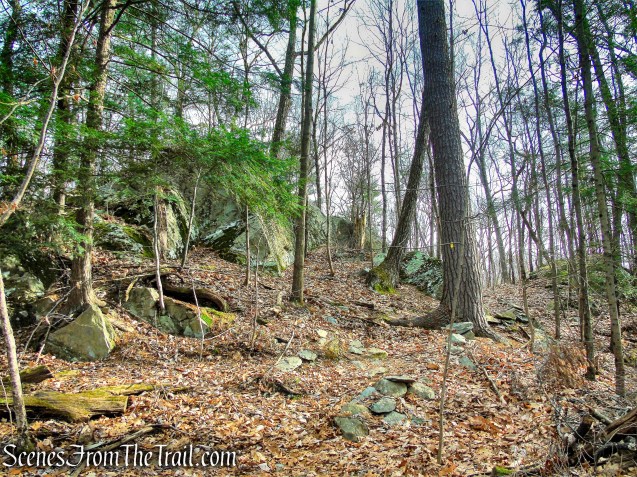 left on Yellow Connector Trail