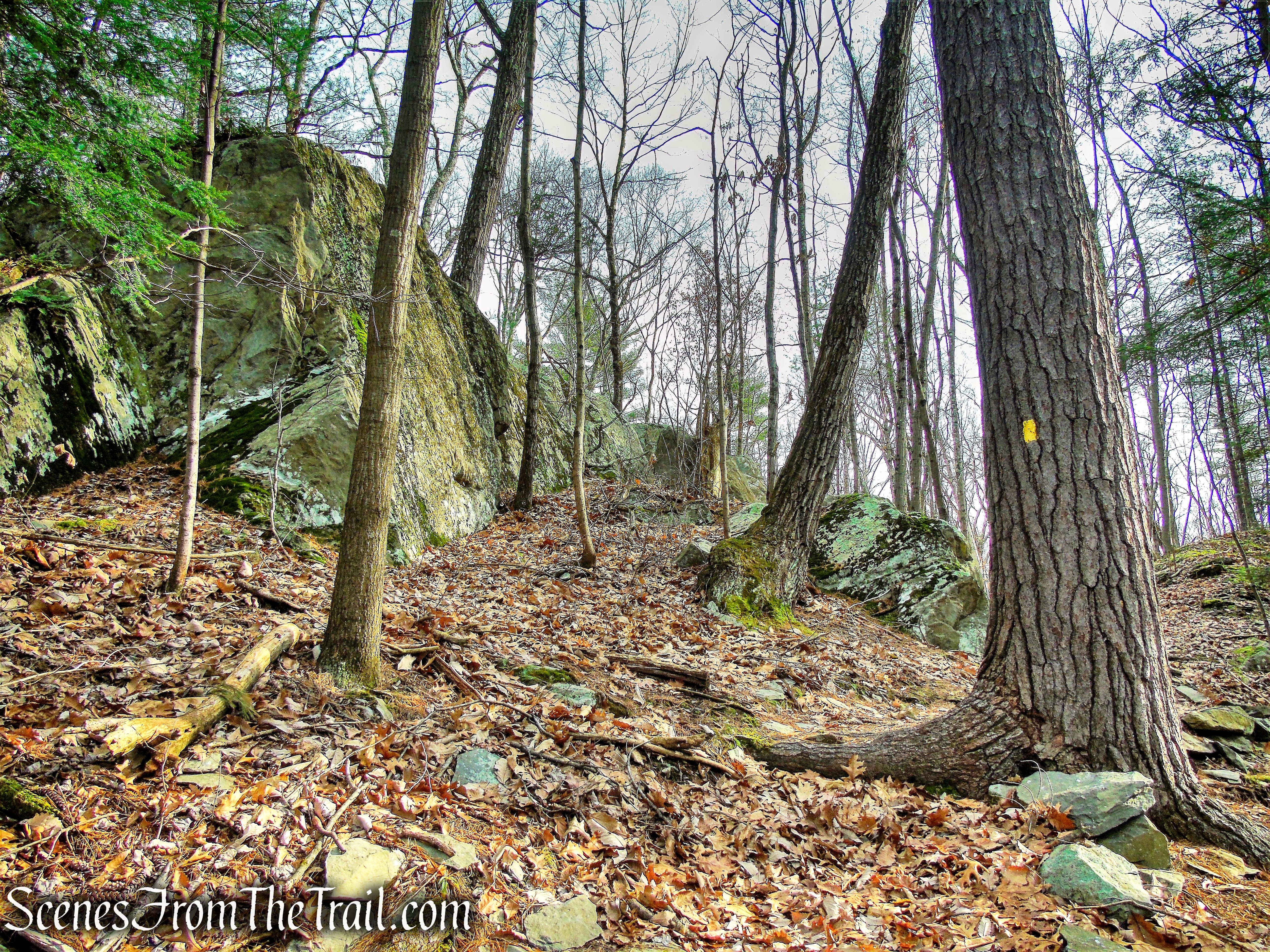 Yellow Connector Trail