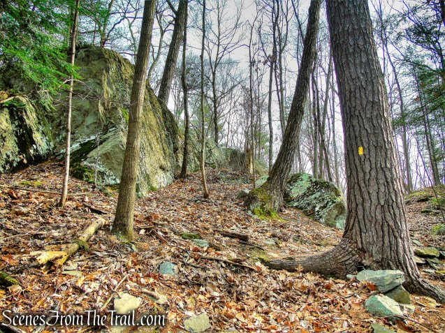 Yellow Connector Trail