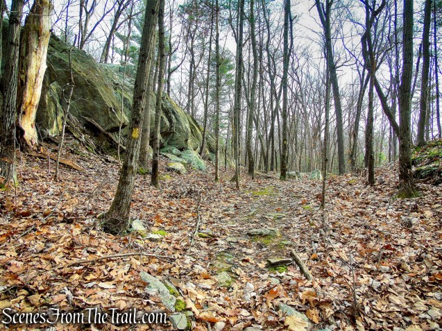 Yellow Connector Trail