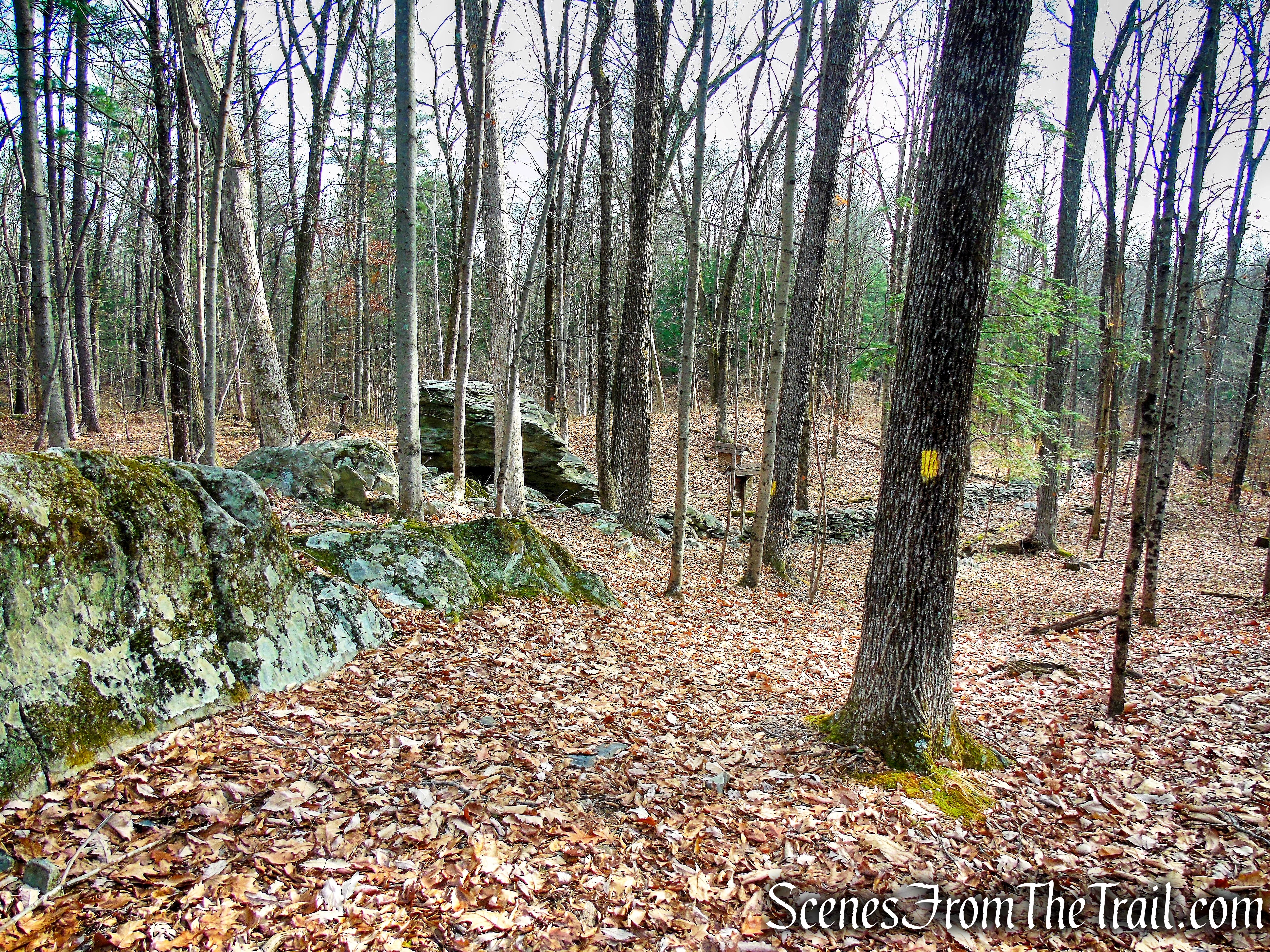 Yellow Connector Trail
