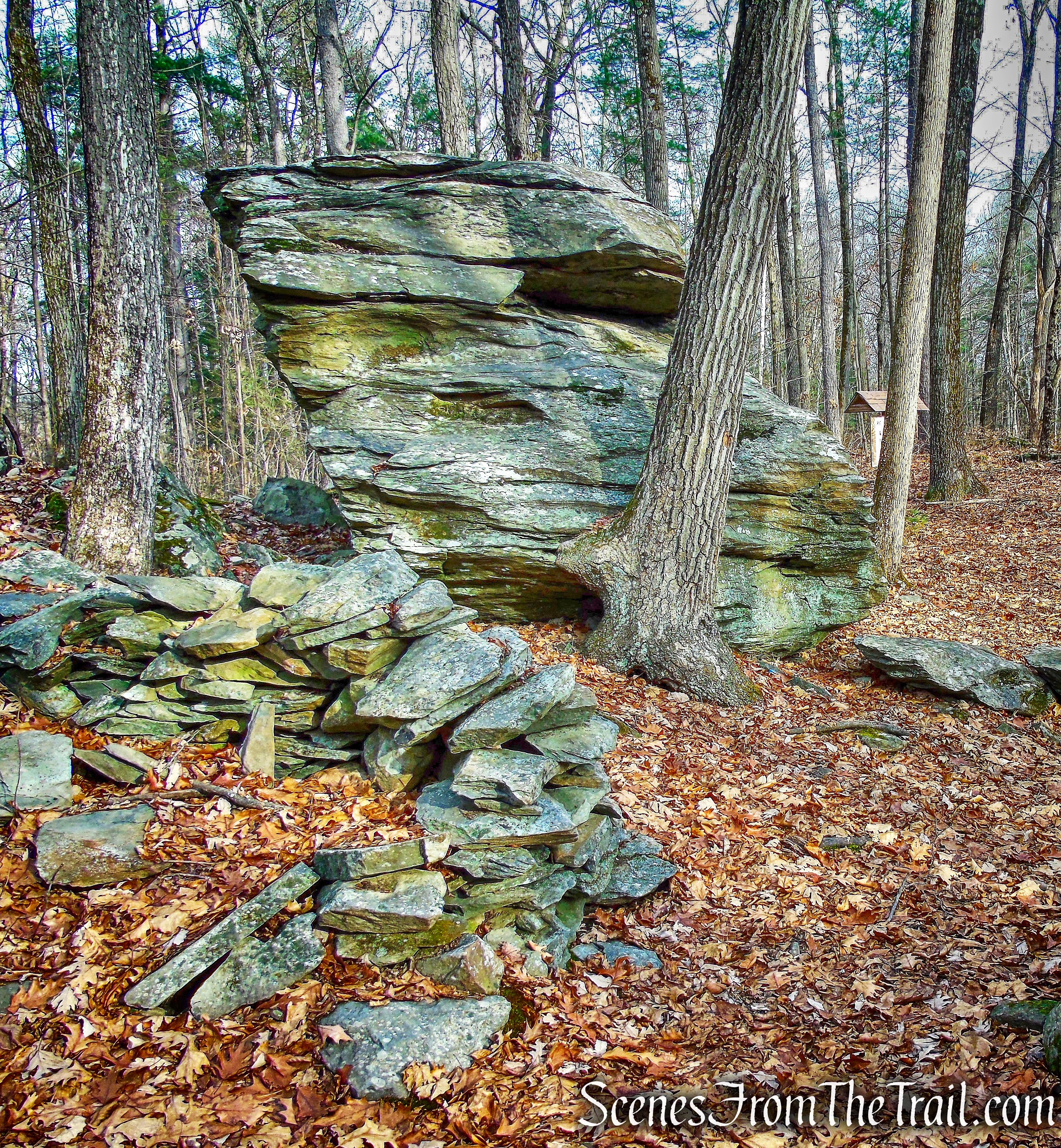 Gorilla Rock