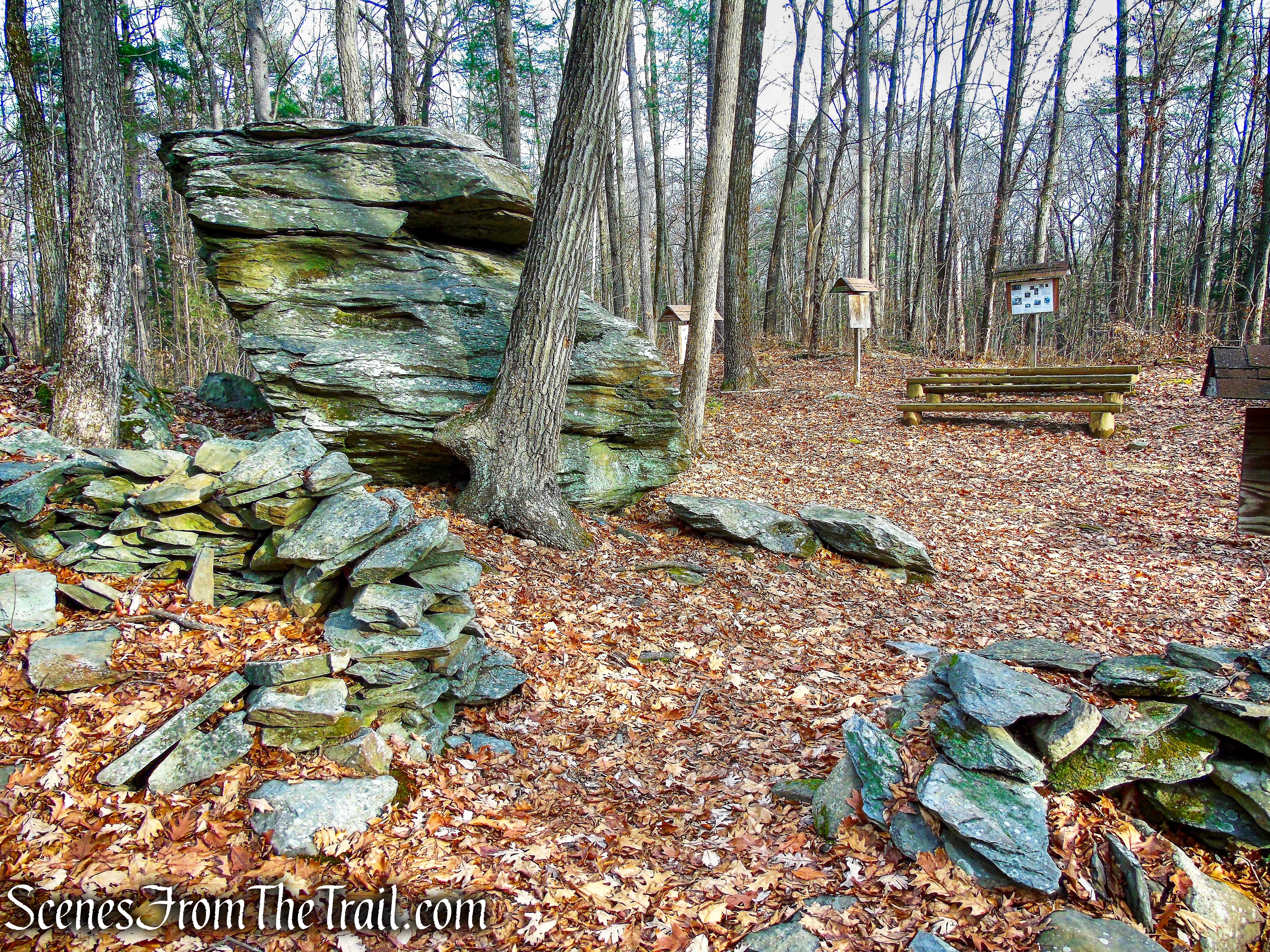 Gorilla Rock