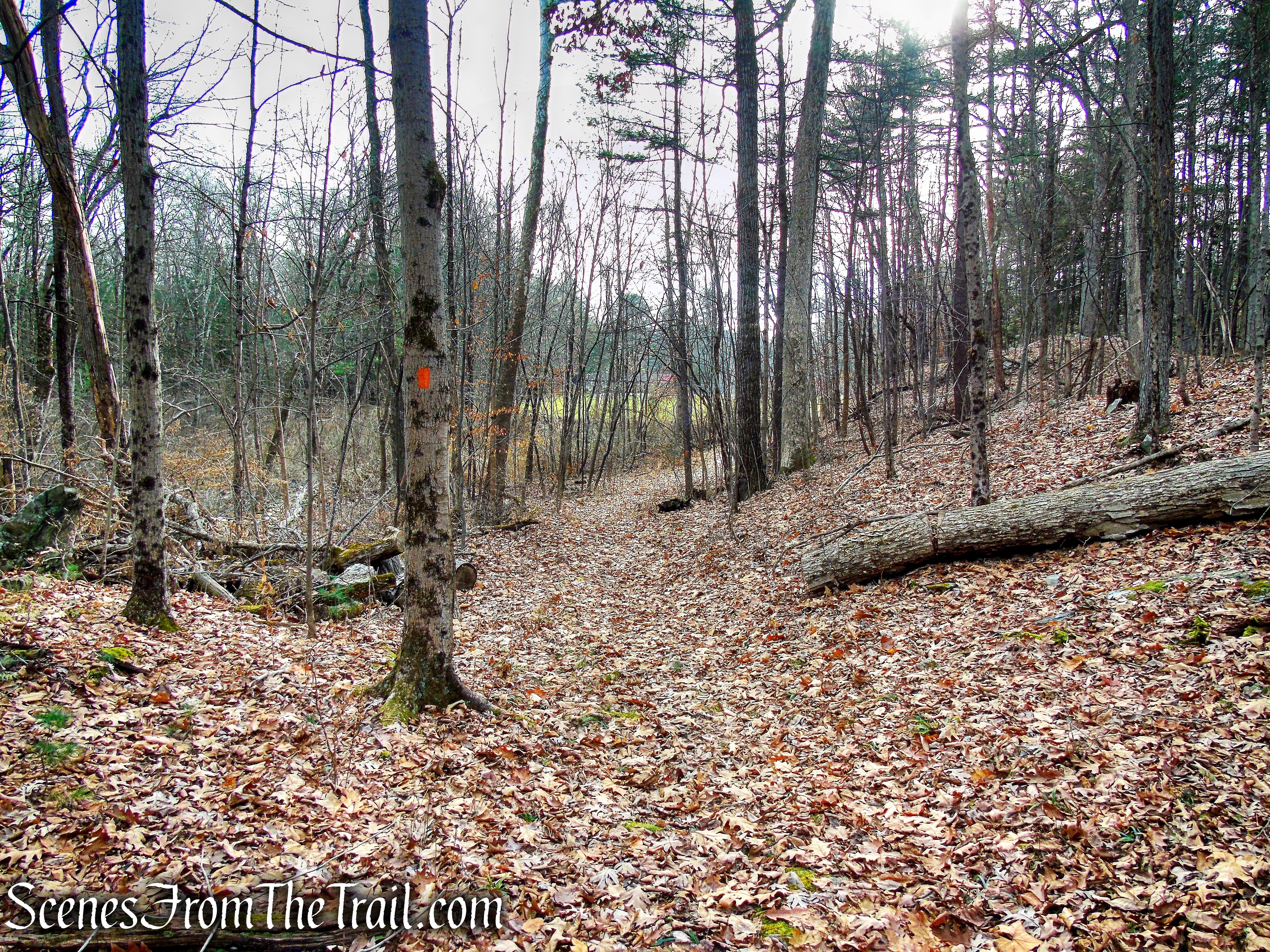 Gorilla Rock Trail