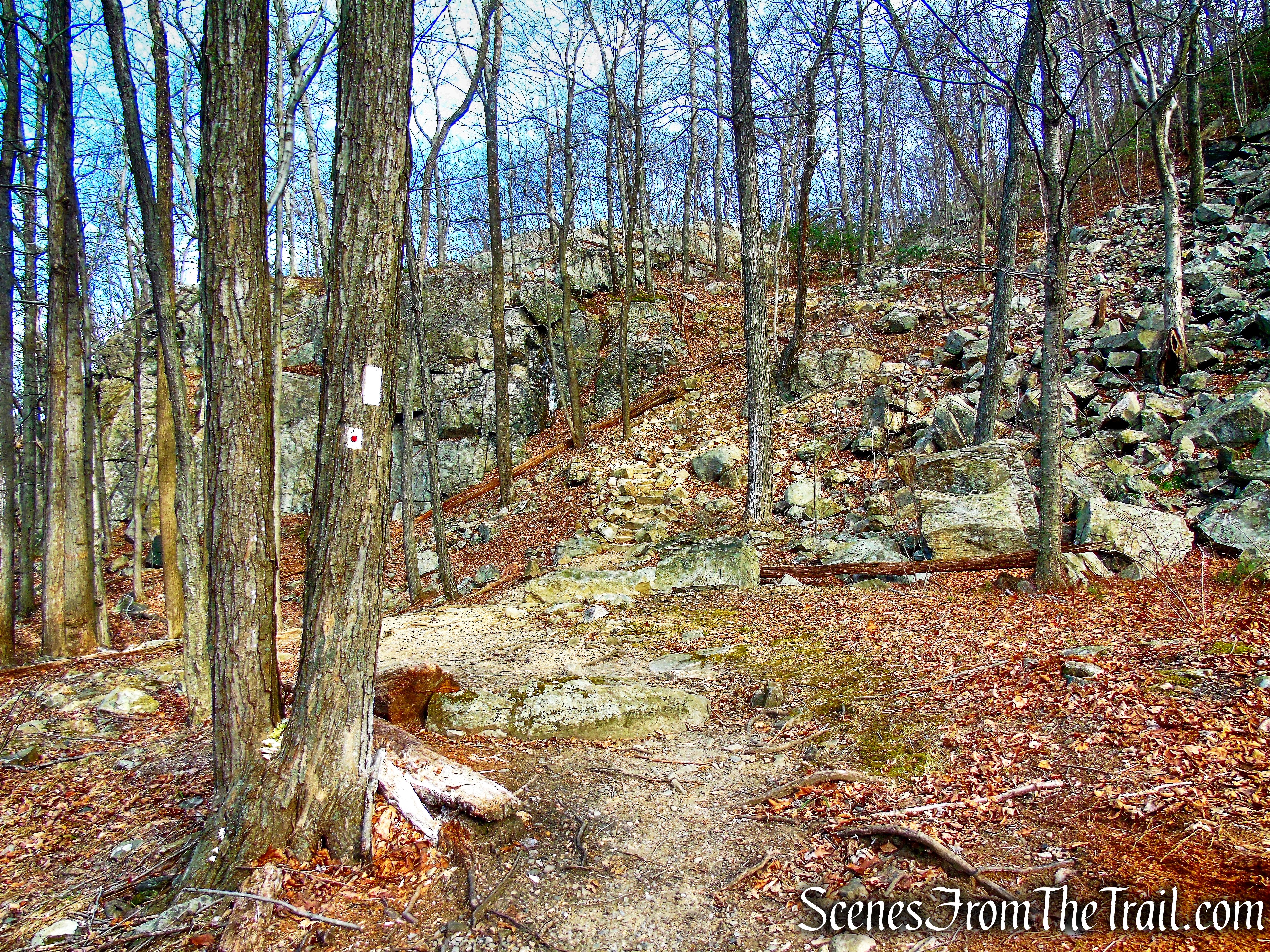 joint AT/R-D Trail - Black Mountain