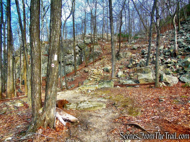 joint AT/R-D Trail - Black Mountain