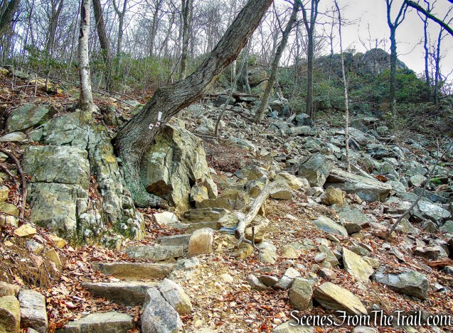 joint AT/R-D Trail - Black Mountain