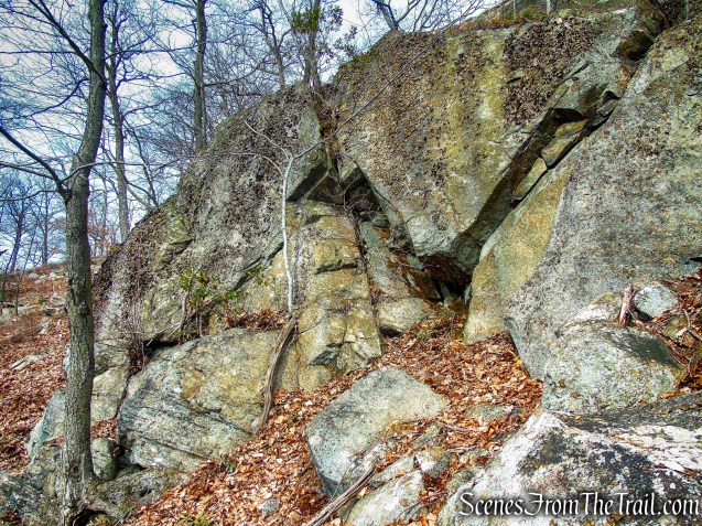 bushwack - Black Mountain