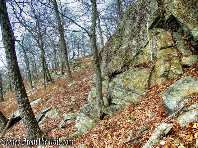 bushwack - Black Mountain