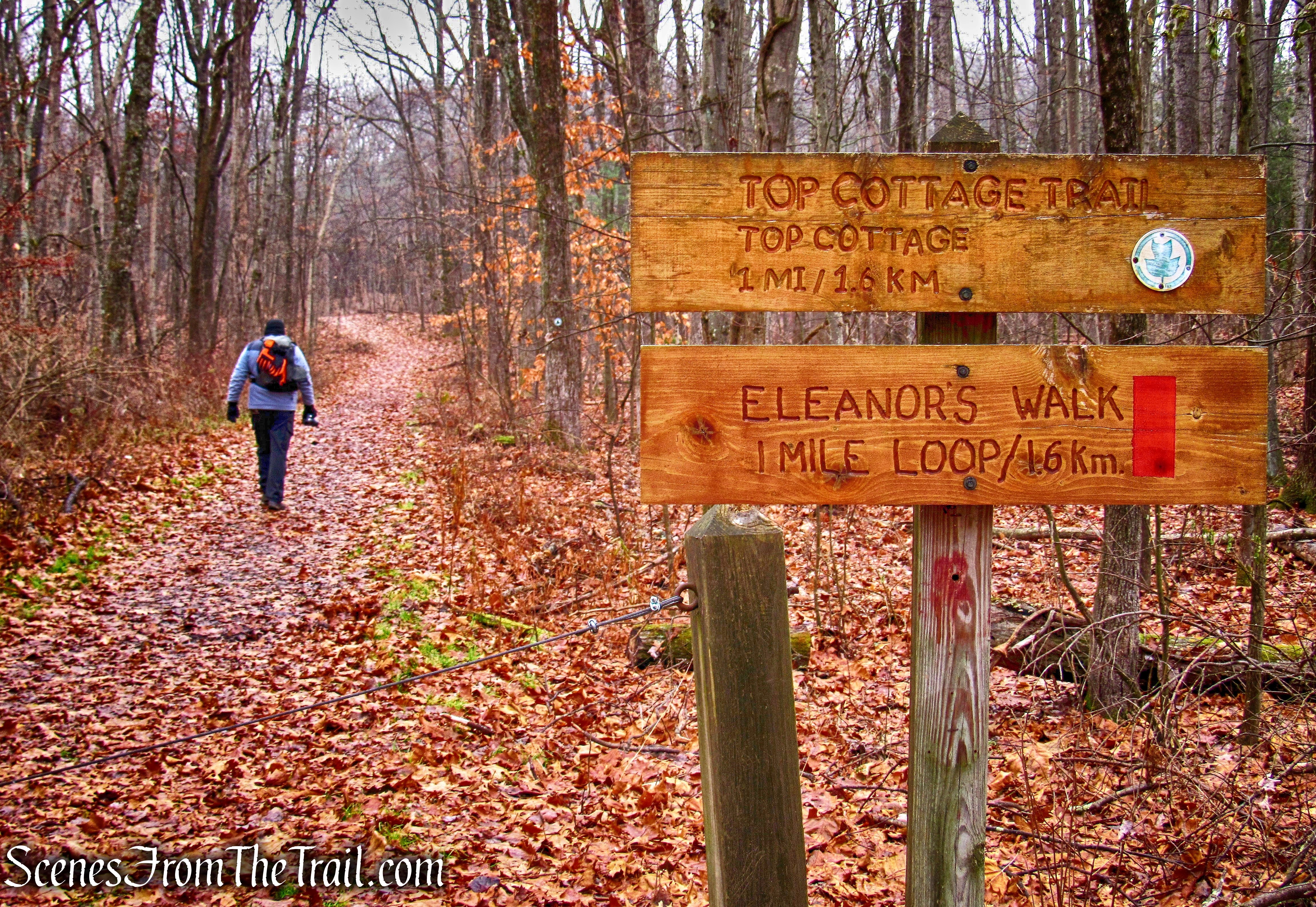 Eleanor’s Walk & Top Cottage Trail