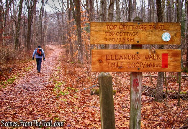 Eleanor’s Walk & Top Cottage Trail