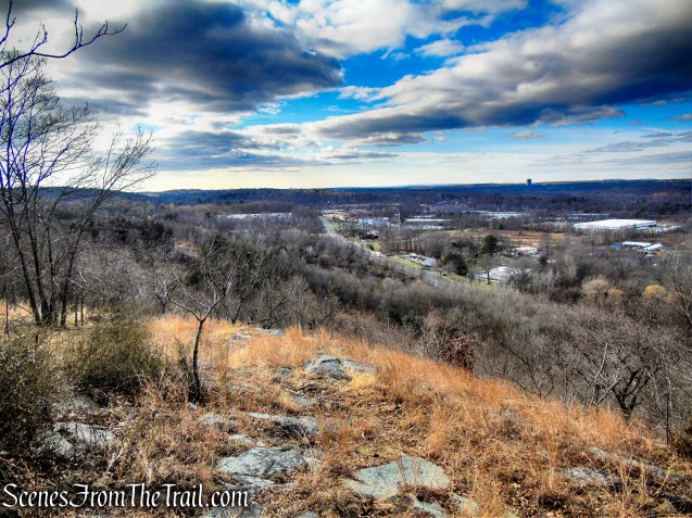 view from Blue Trail