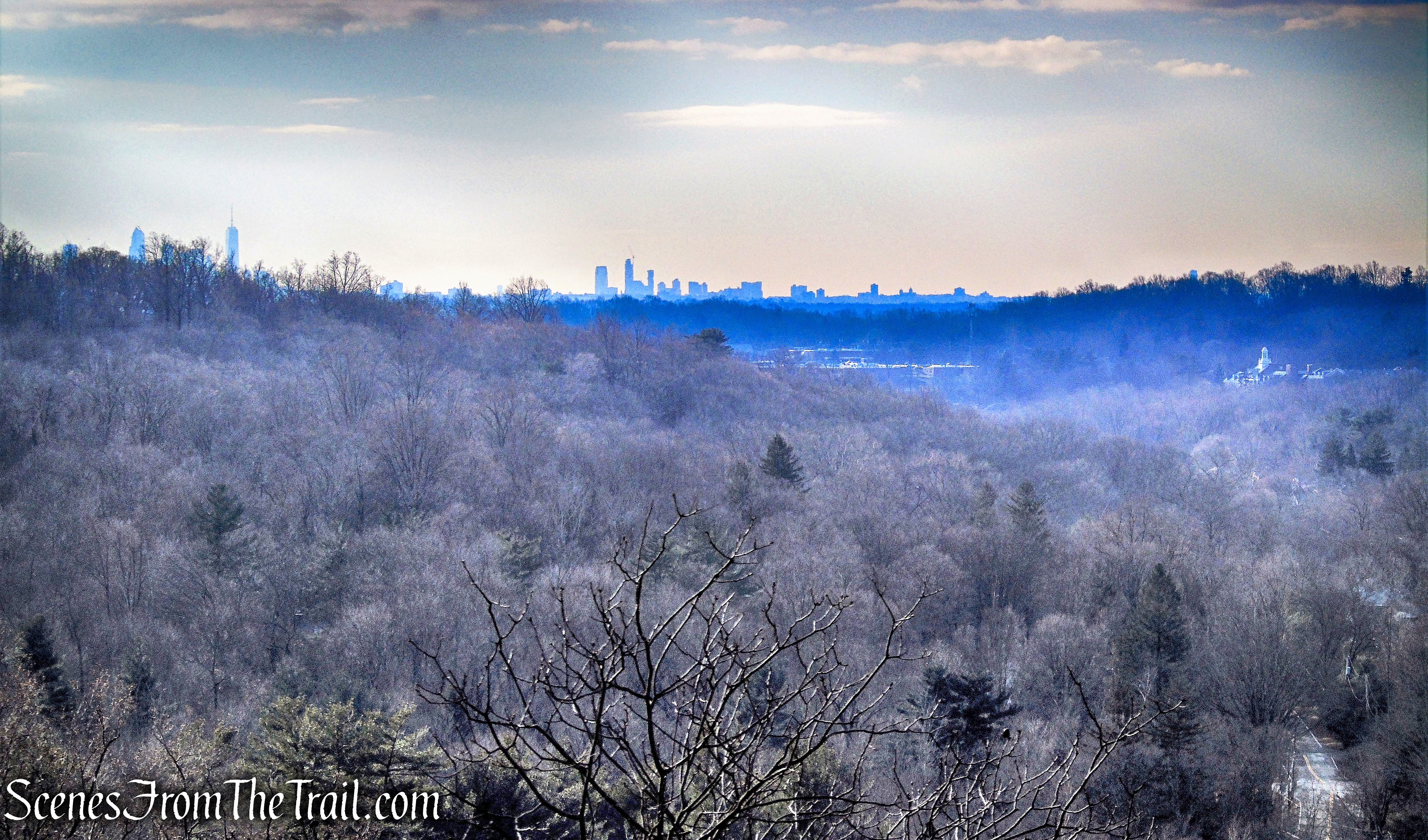 view from Blue Trail
