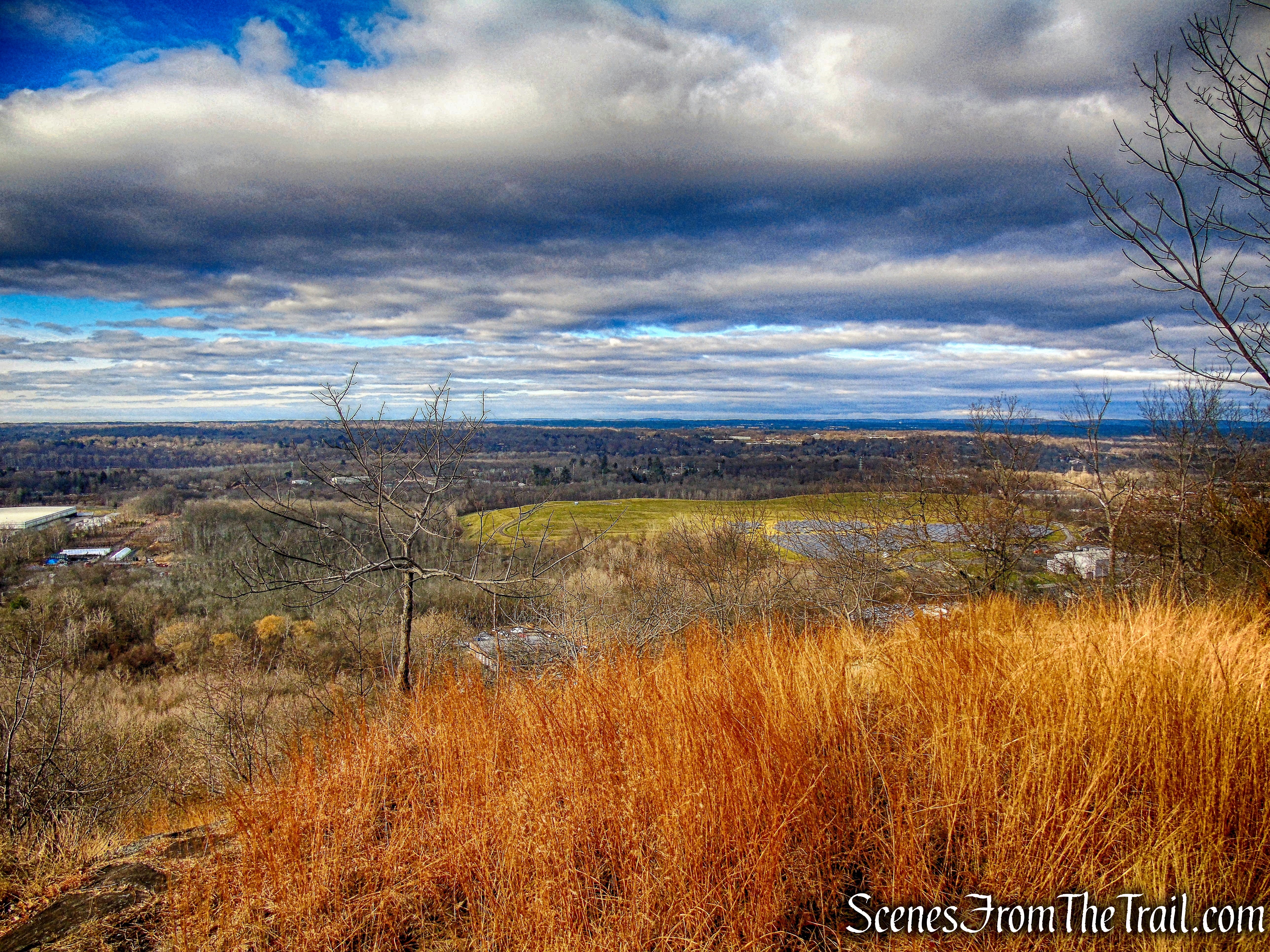 view from Blue Trail