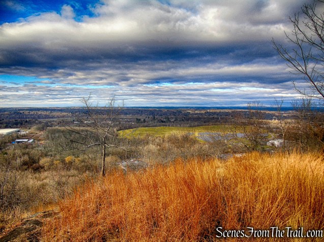 view from Blue Trail