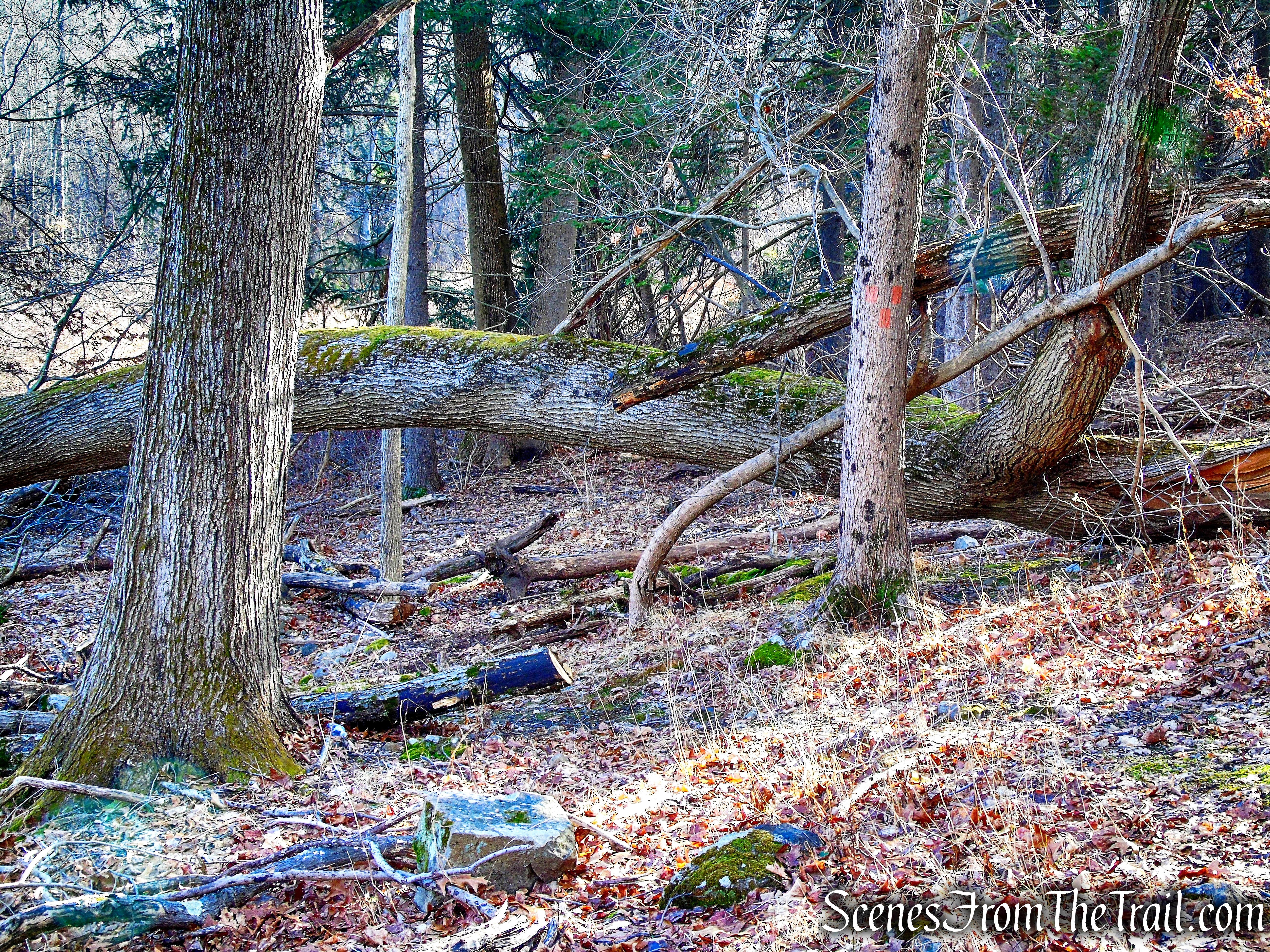 terminus of Orange Trail