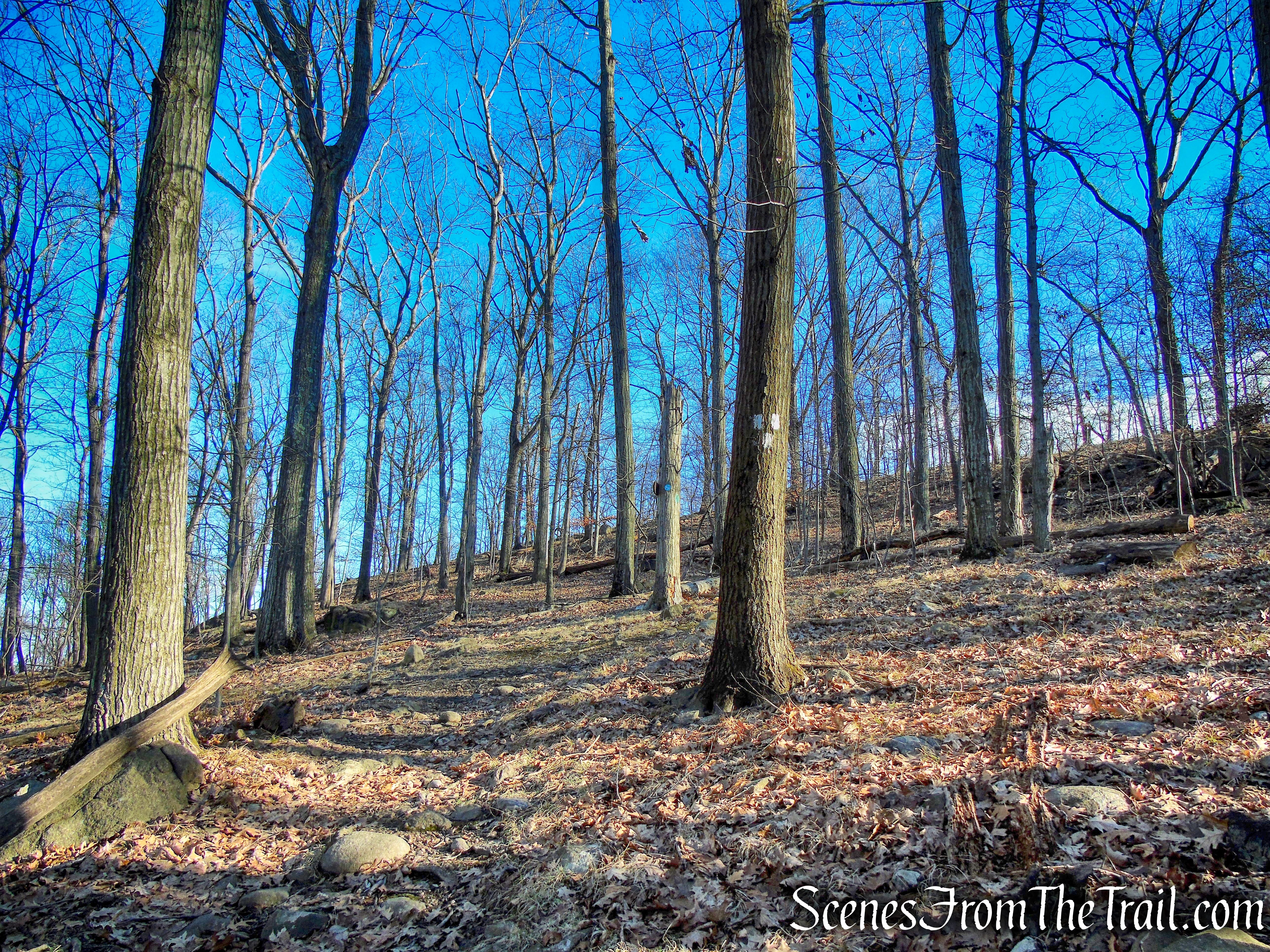 terminus of White Trail