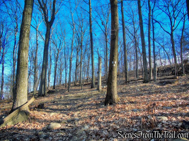 terminus of White Trail