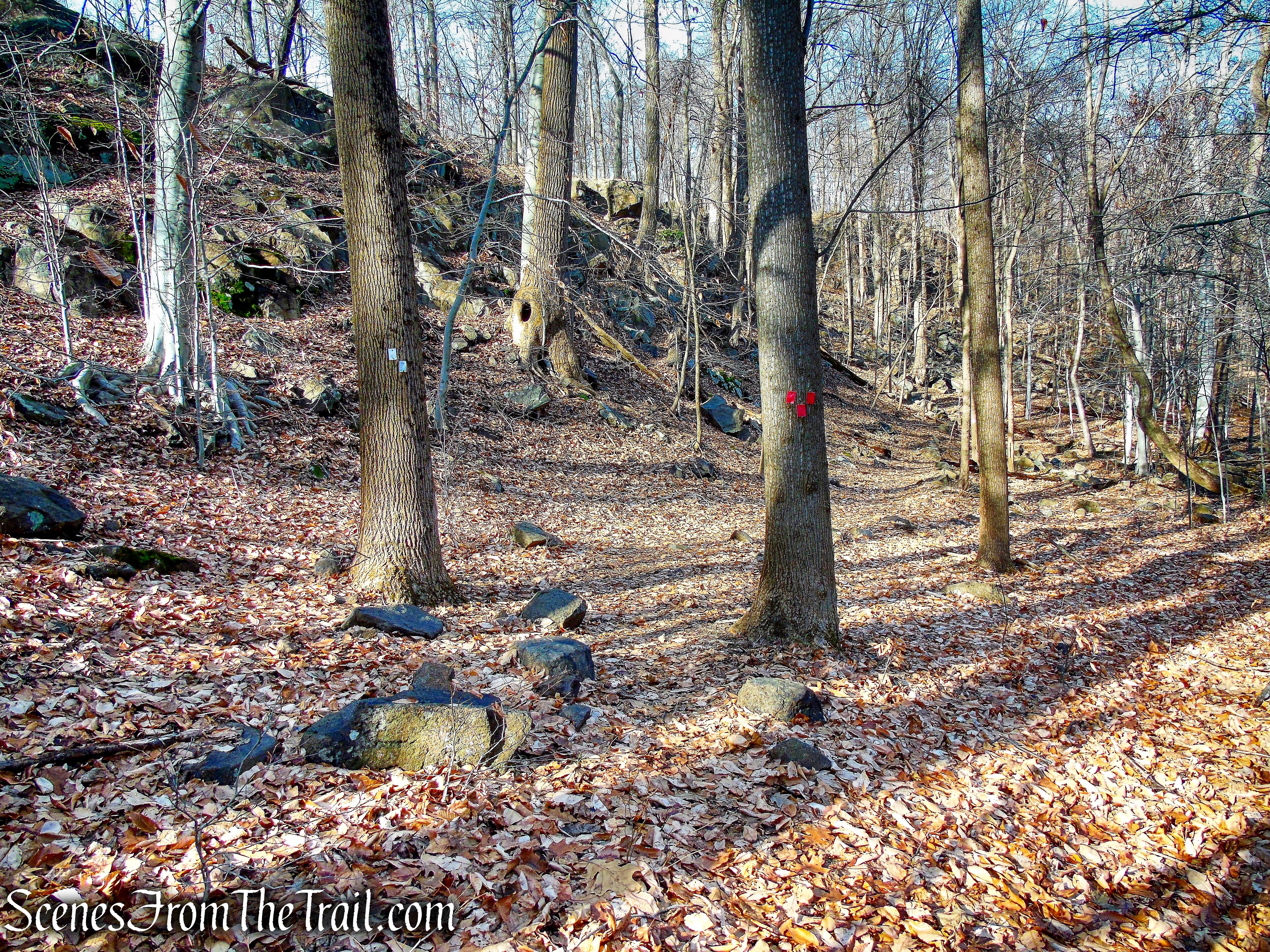 terminus of Red Trail