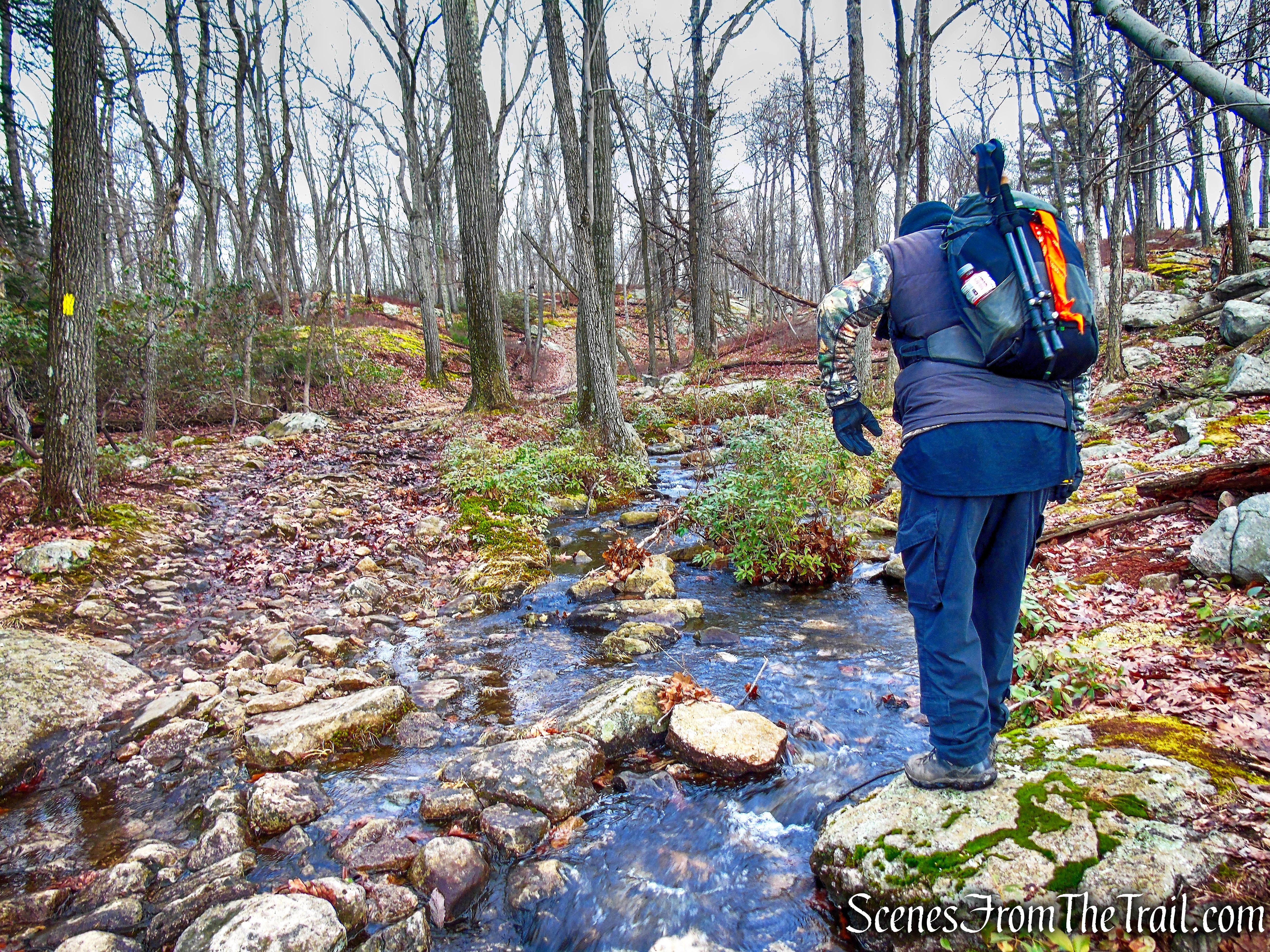 Lichen Trail Loop from Lake Kanawauke