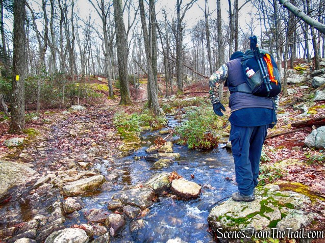 Lichen Trail Loop from Lake Kanawauke