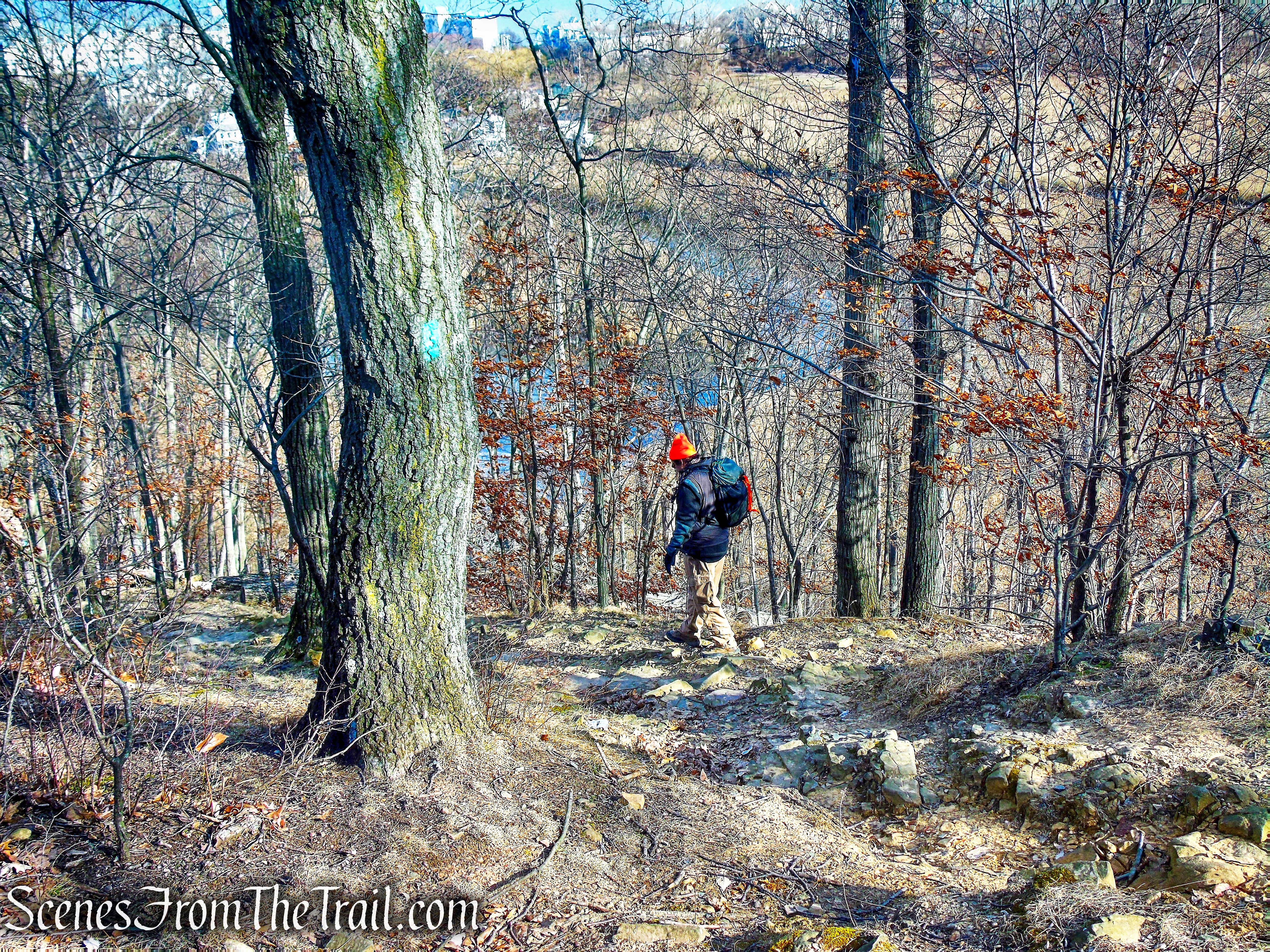Tallman Mountain State Park