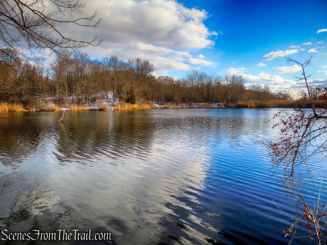 Trail 2 - George's Island Park