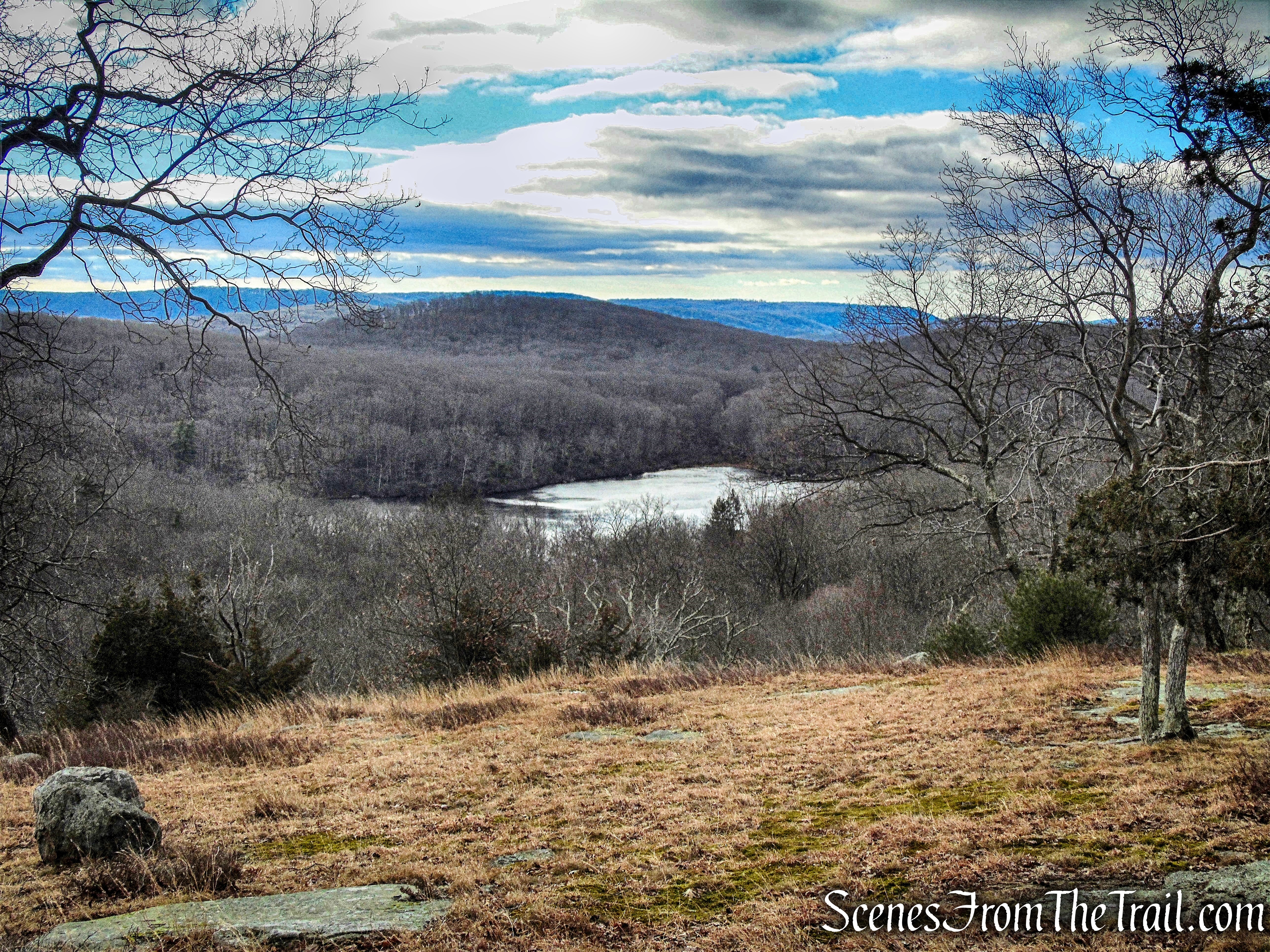view of Little Long Pond from Dunning Trail