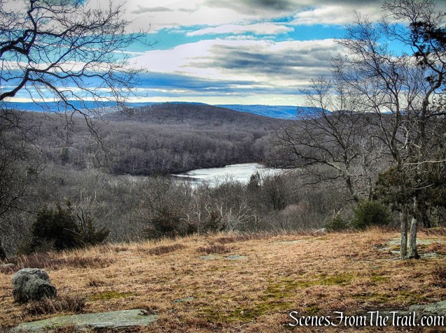 view of Little Long Pond from Dunning Trail