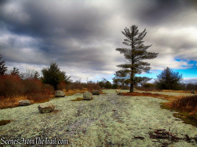 Bowling Rocks - Dunning Trail