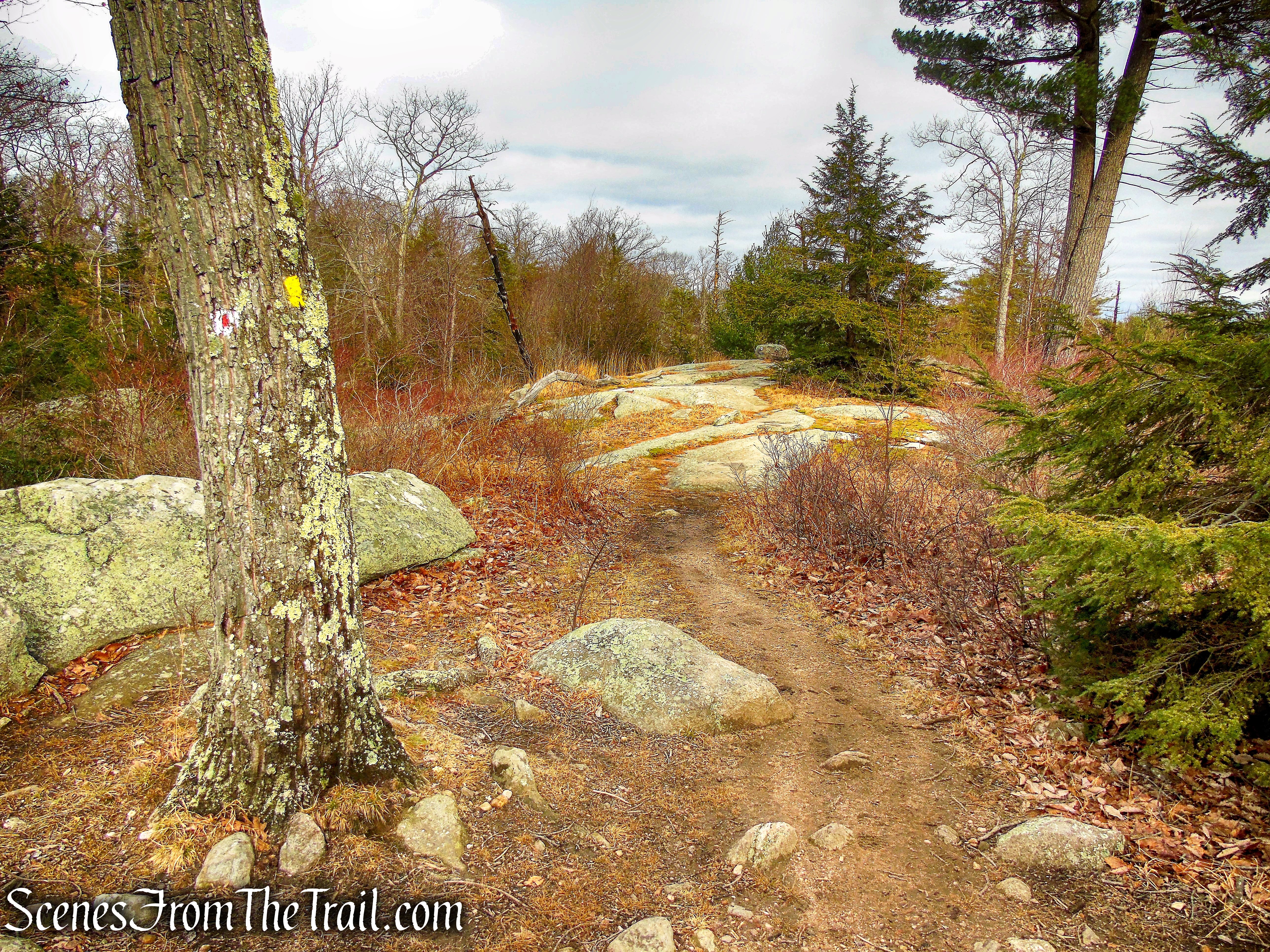 turn right on R-D Trail