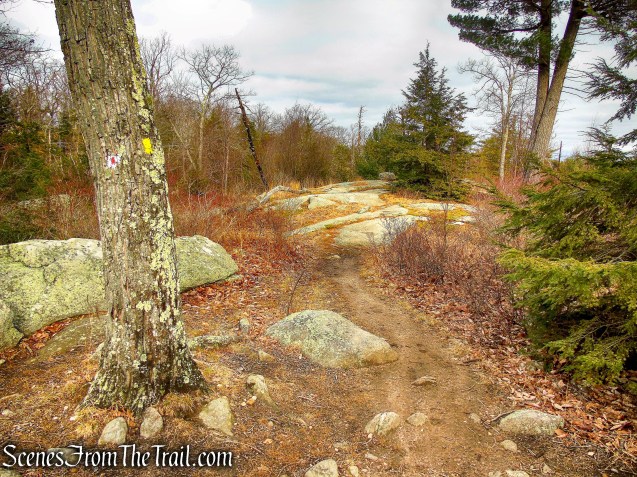 turn right on R-D Trail