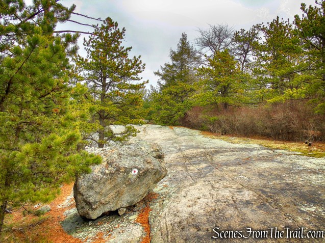 Ramapo Dunderberg Trail