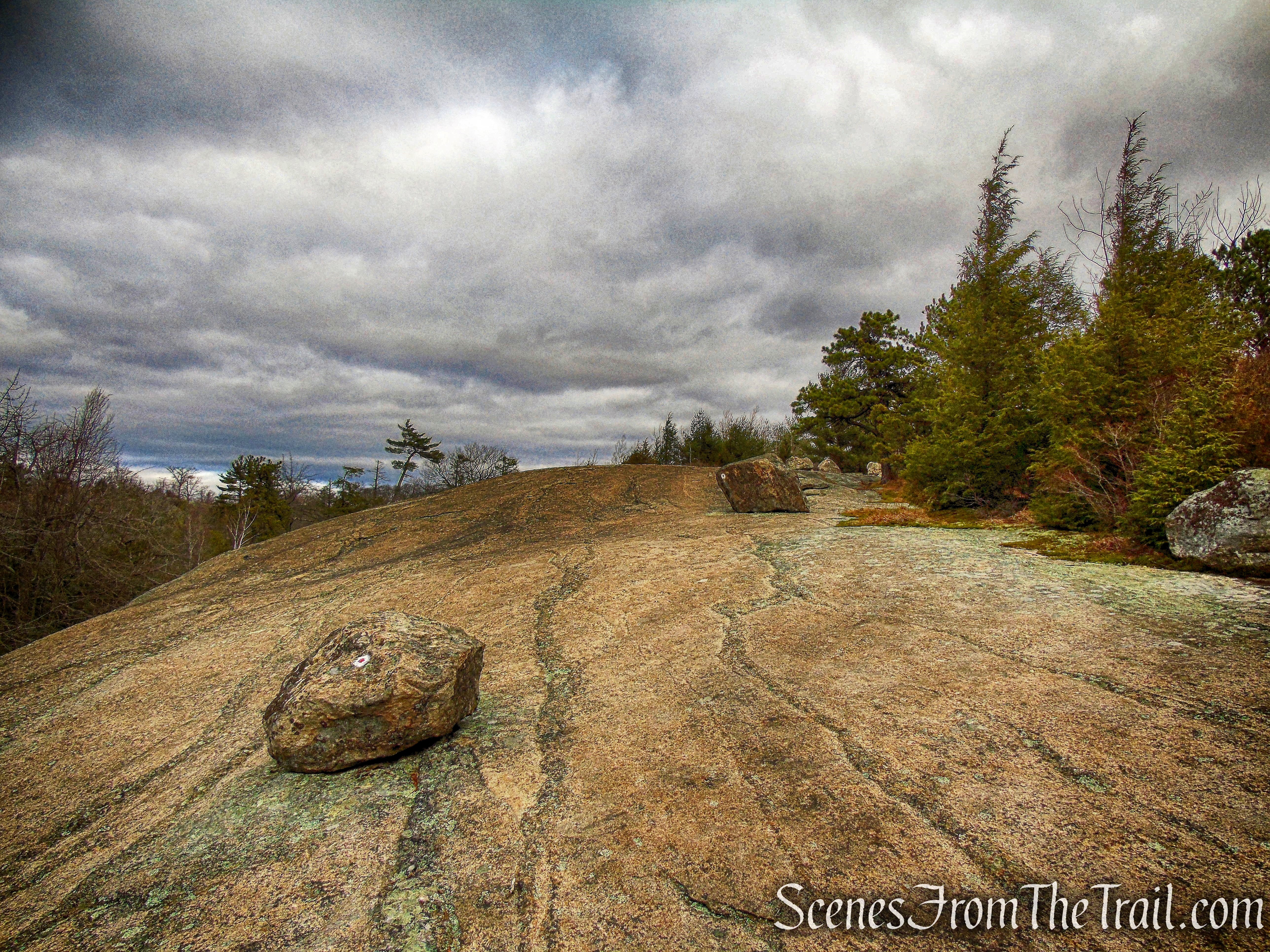 Ramapo Dunderberg Trail