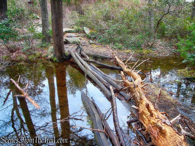 Ramapo Dunderberg Trail