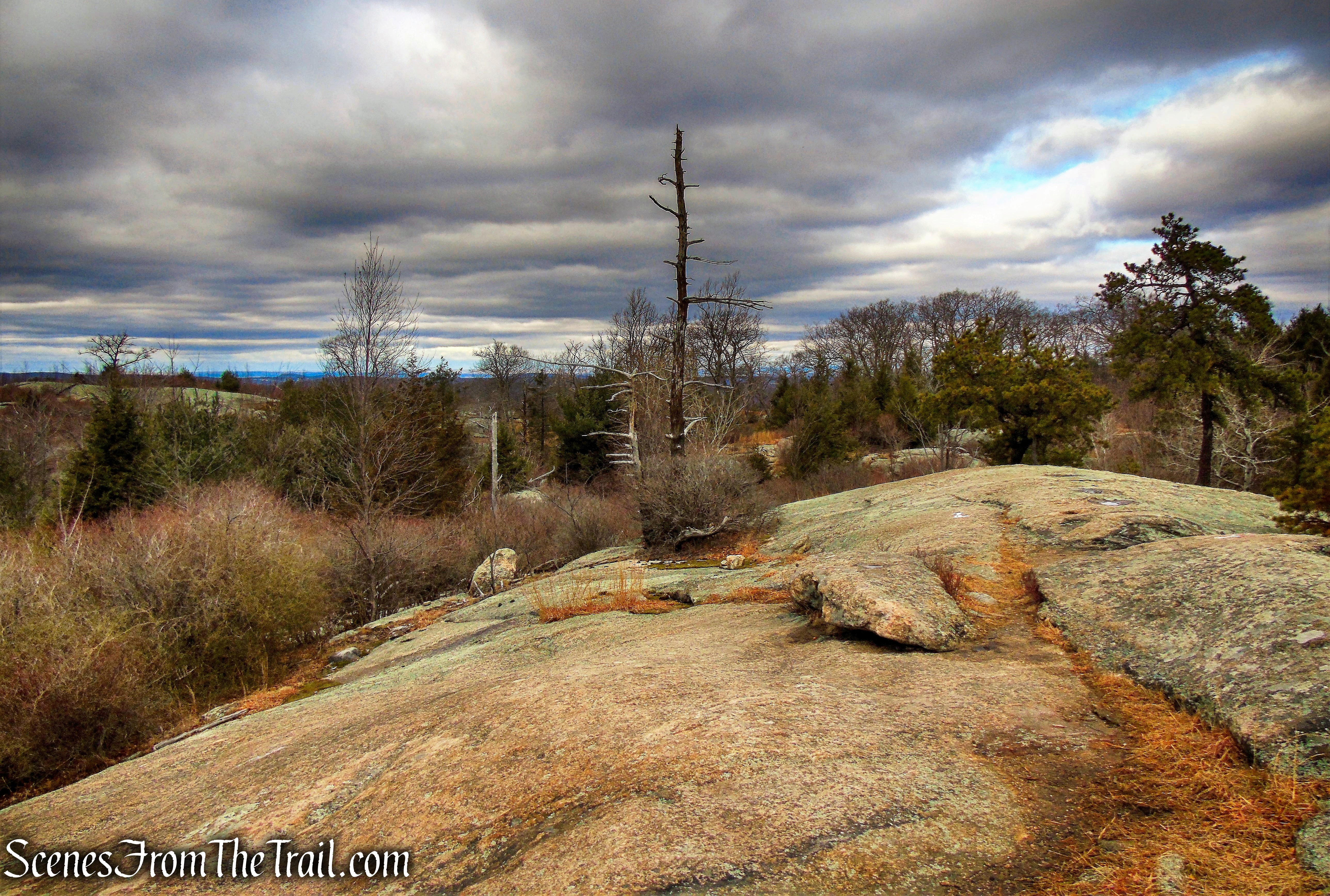 Ramapo Dunderberg Trail