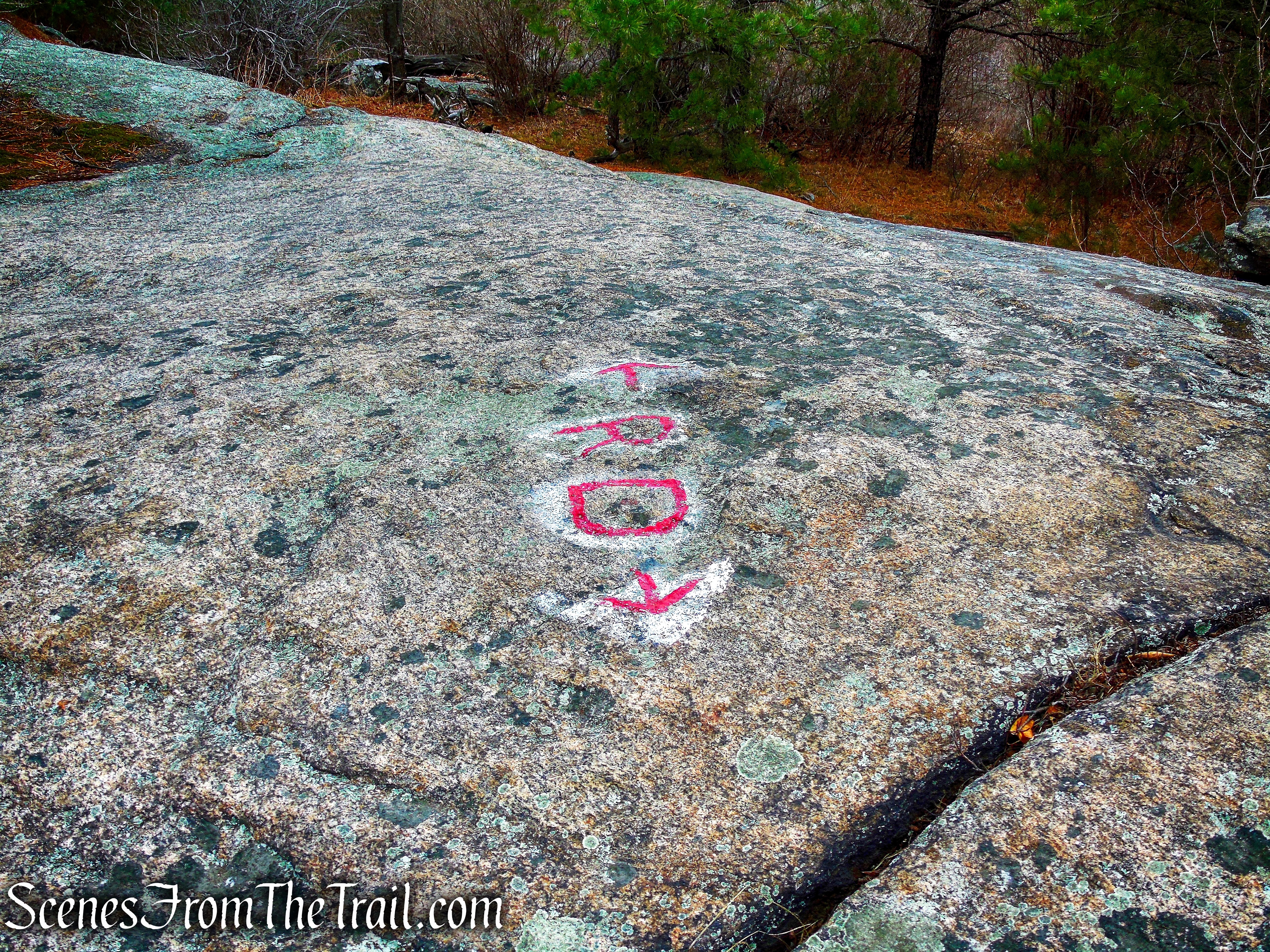 Ramapo Dunderberg Trail