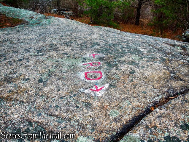 Ramapo Dunderberg Trail