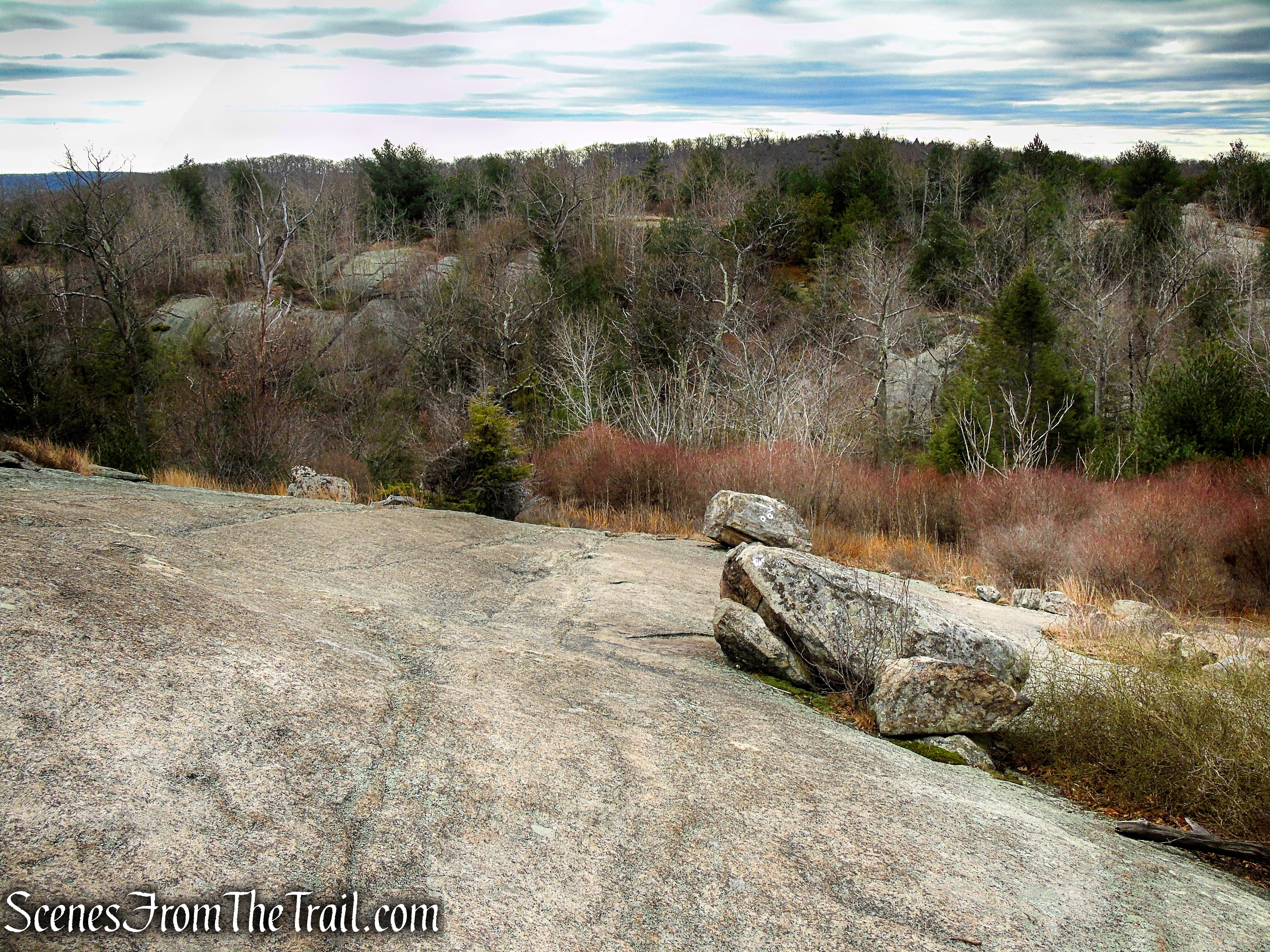 Lichen Trail
