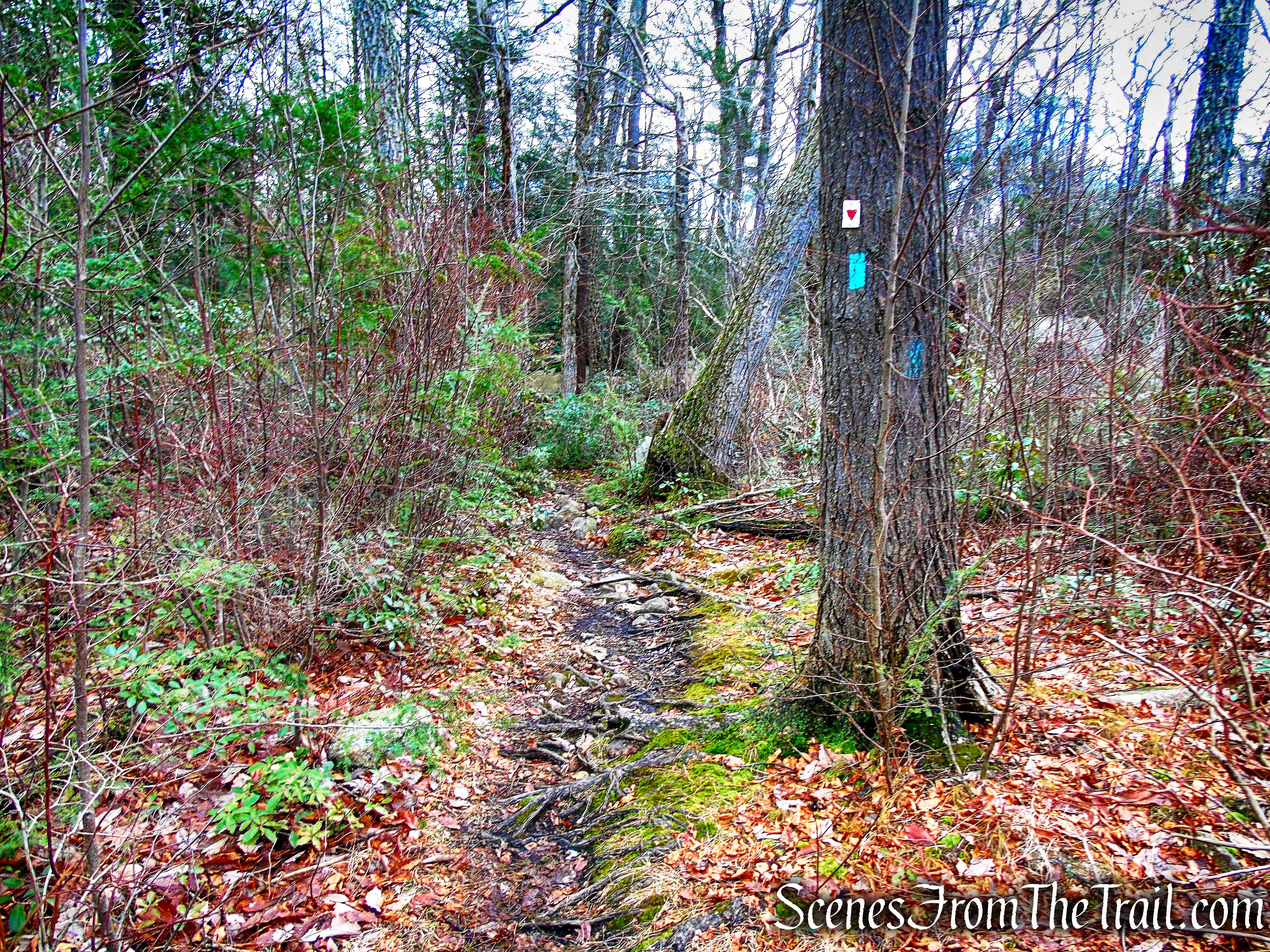 joint A-SB Trail/Long Path